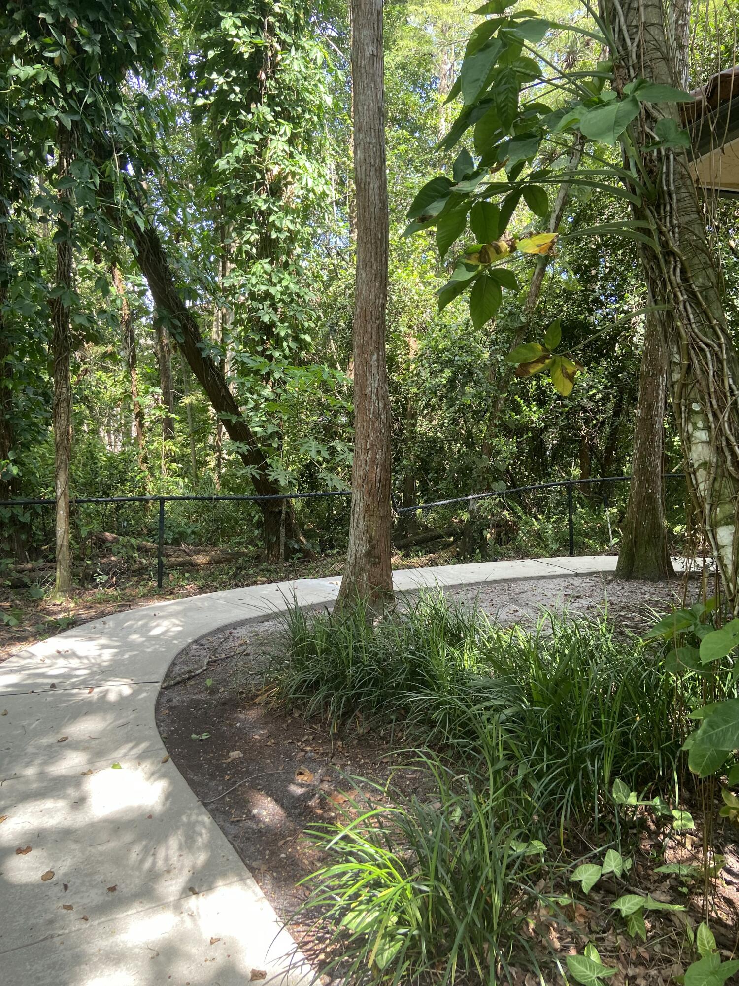 MLS #RX-11112381 image #5