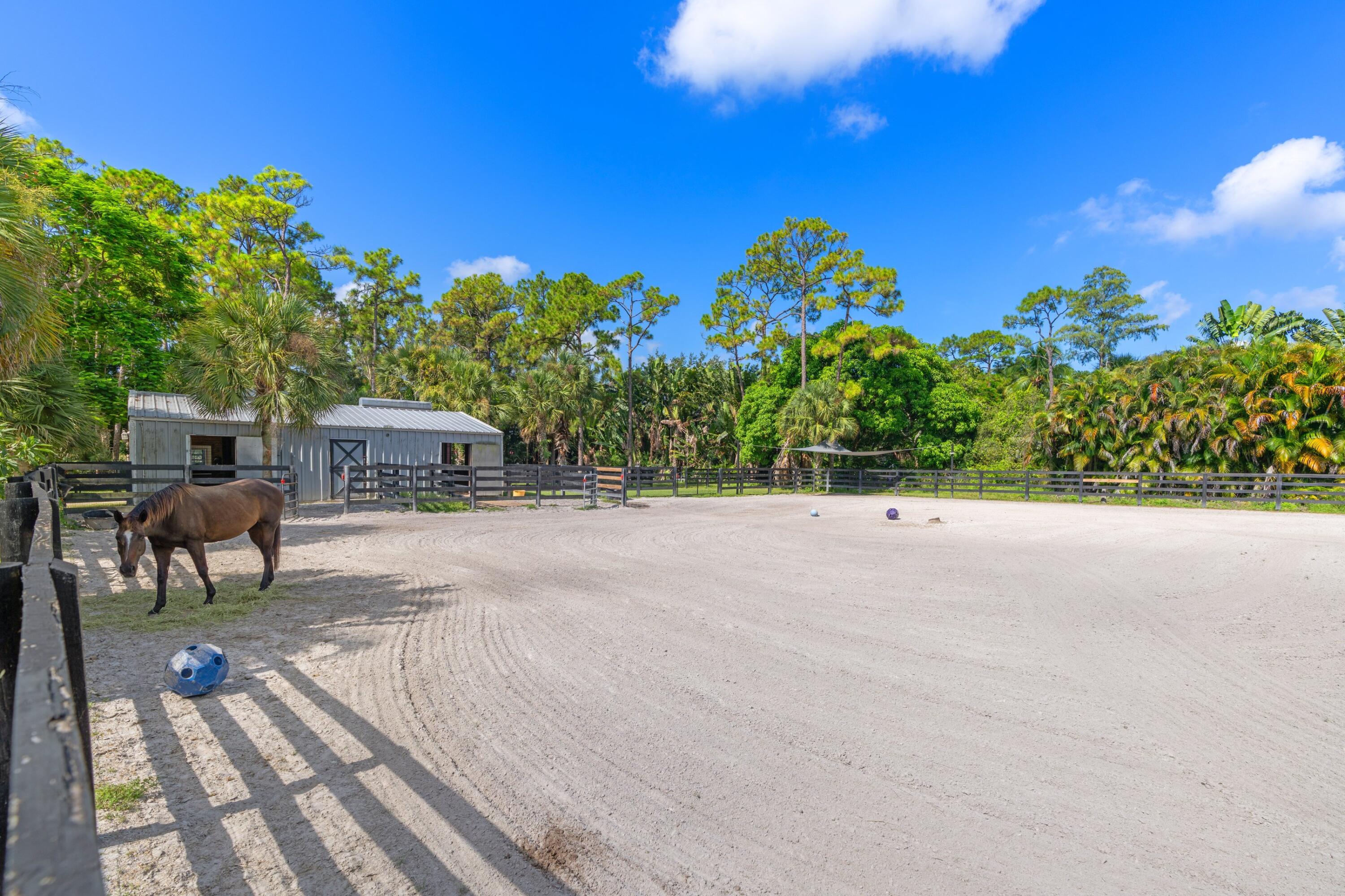 MLS #RX-11112493 image #35