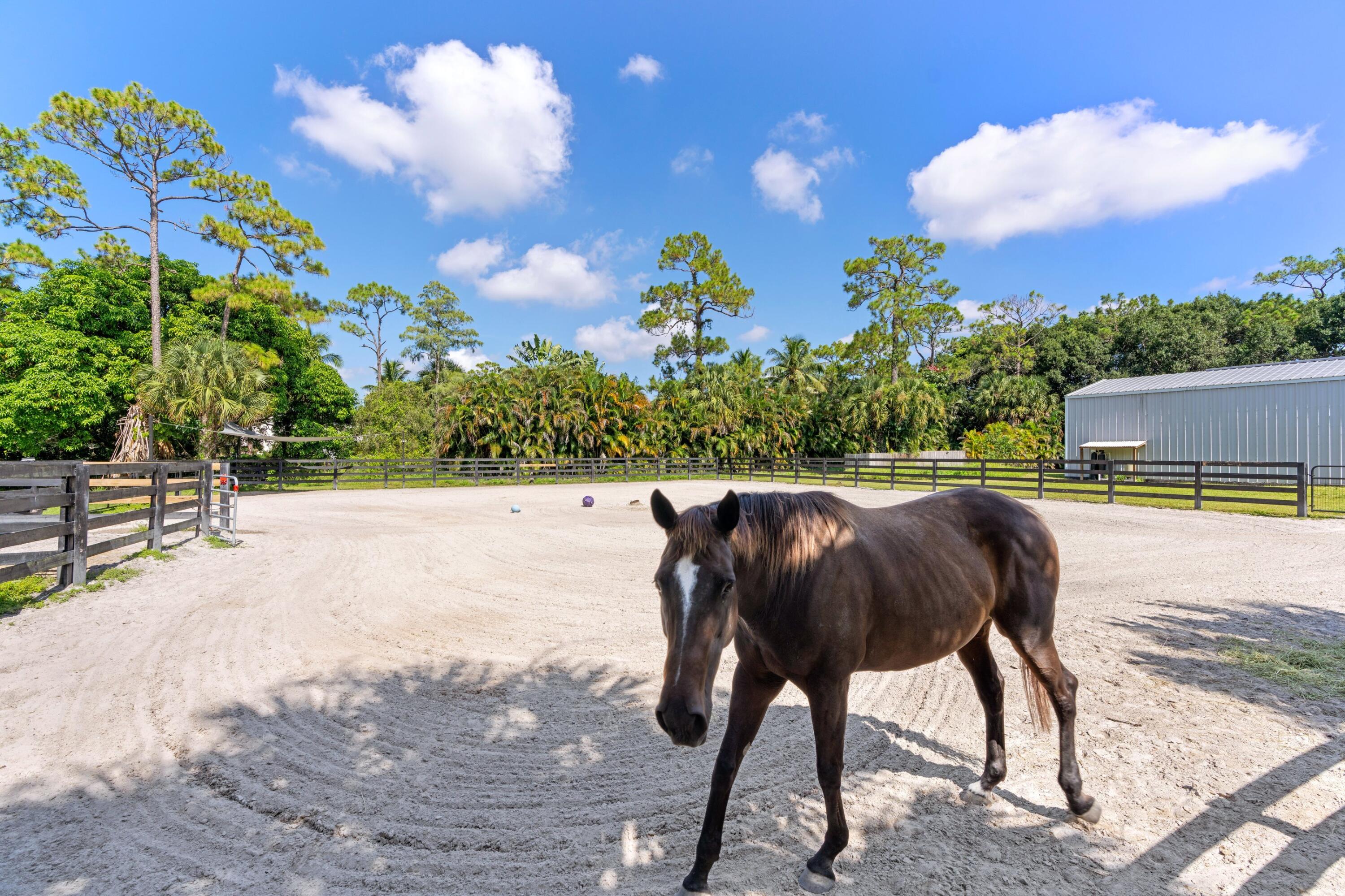 MLS #RX-11112493 image #51