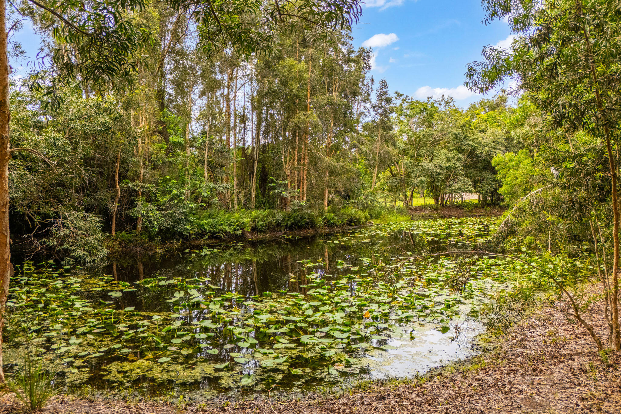 MLS #RX-11114534 image #27