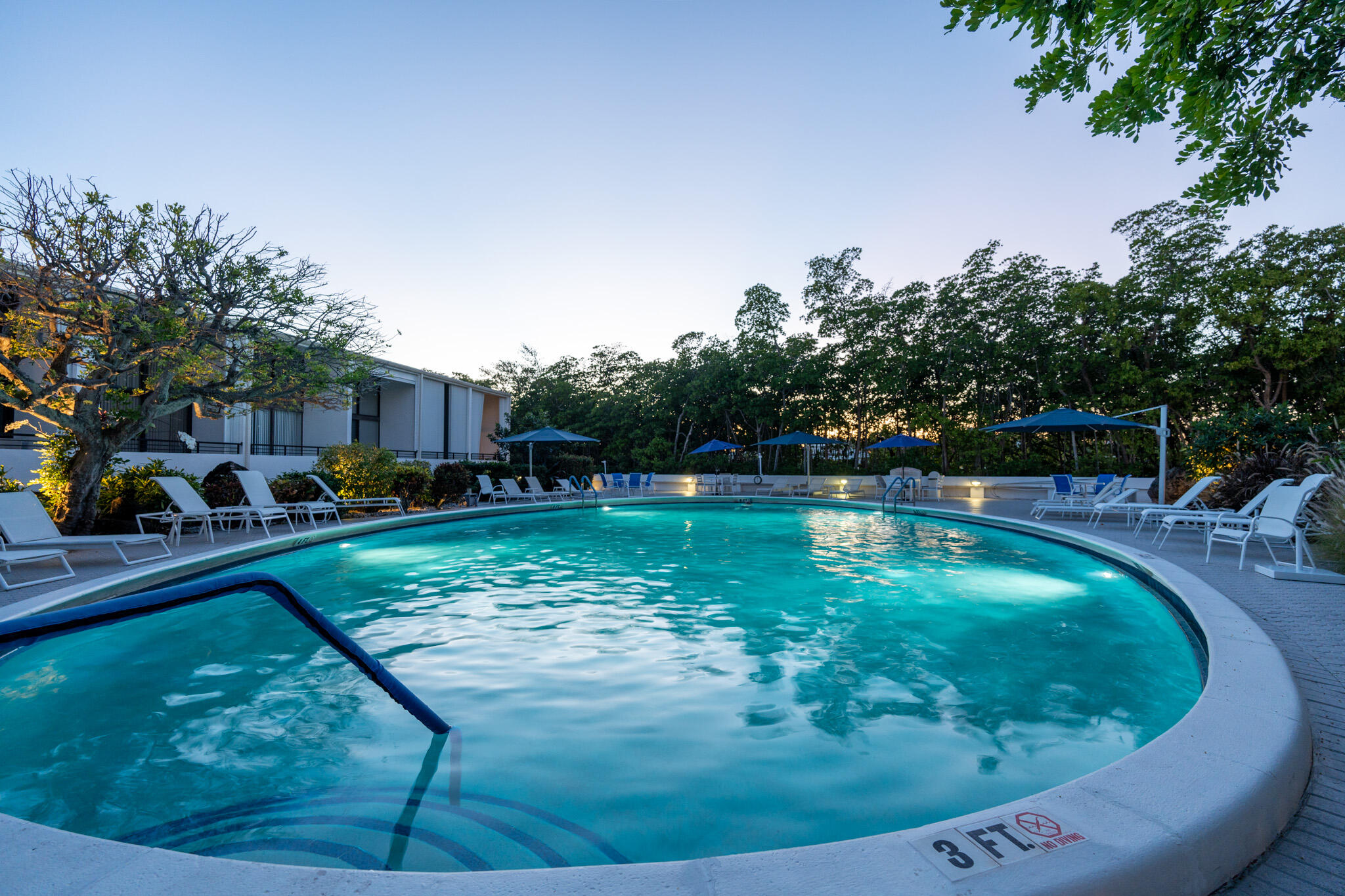 MLS #RX-11114953 image #7