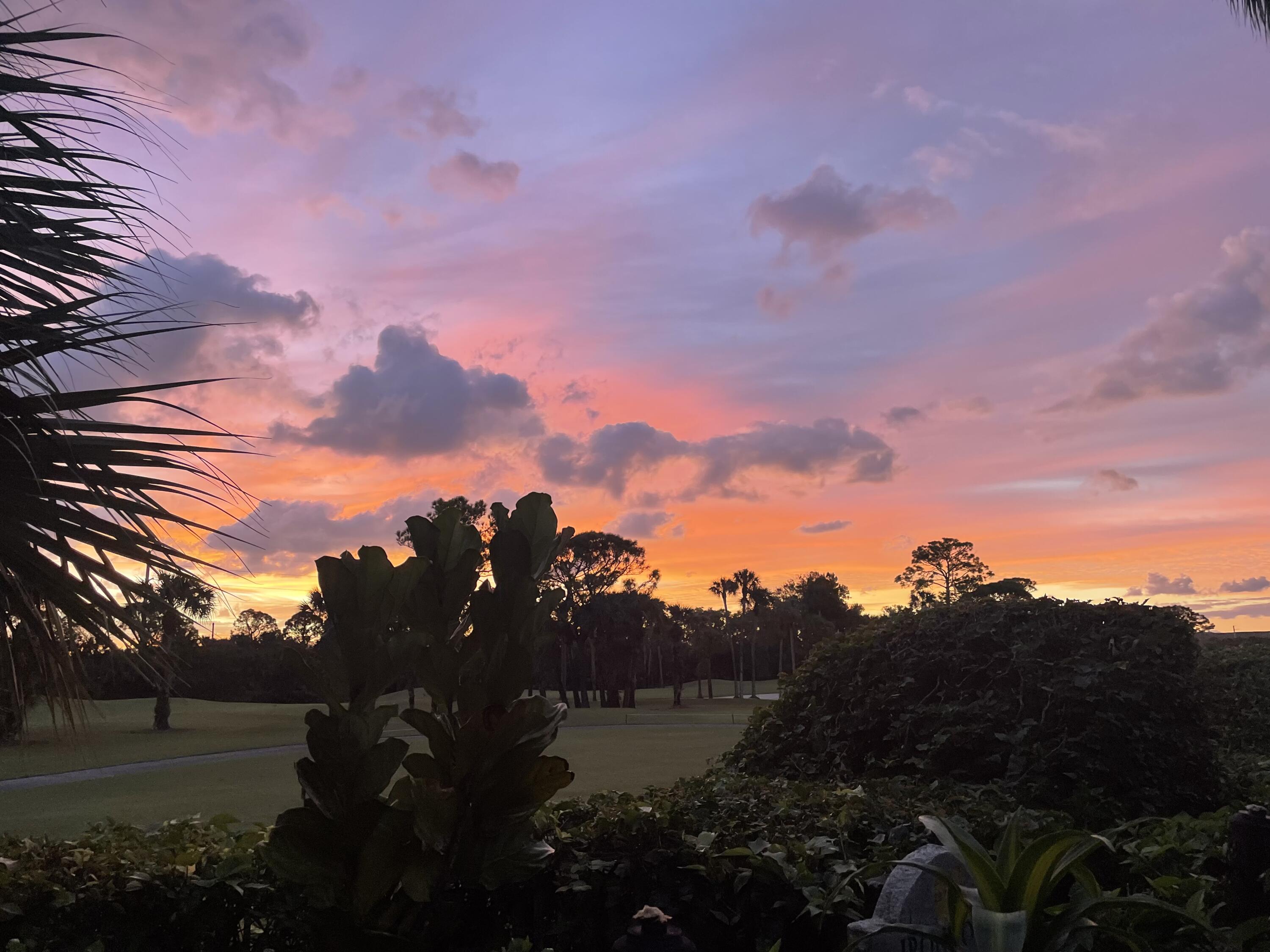 MLS #RX-11115351 image #2