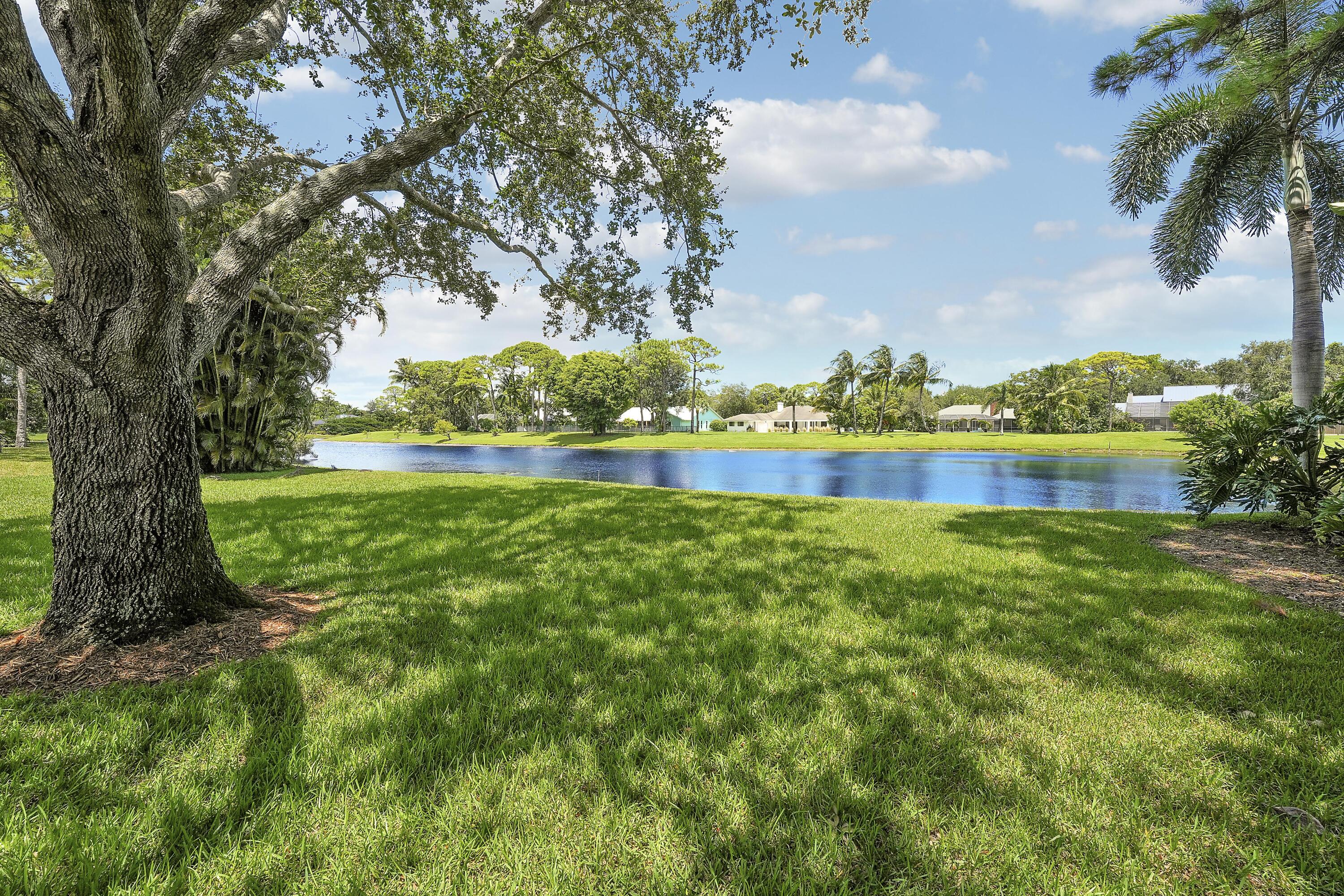 MLS #RX-11115521 image #39