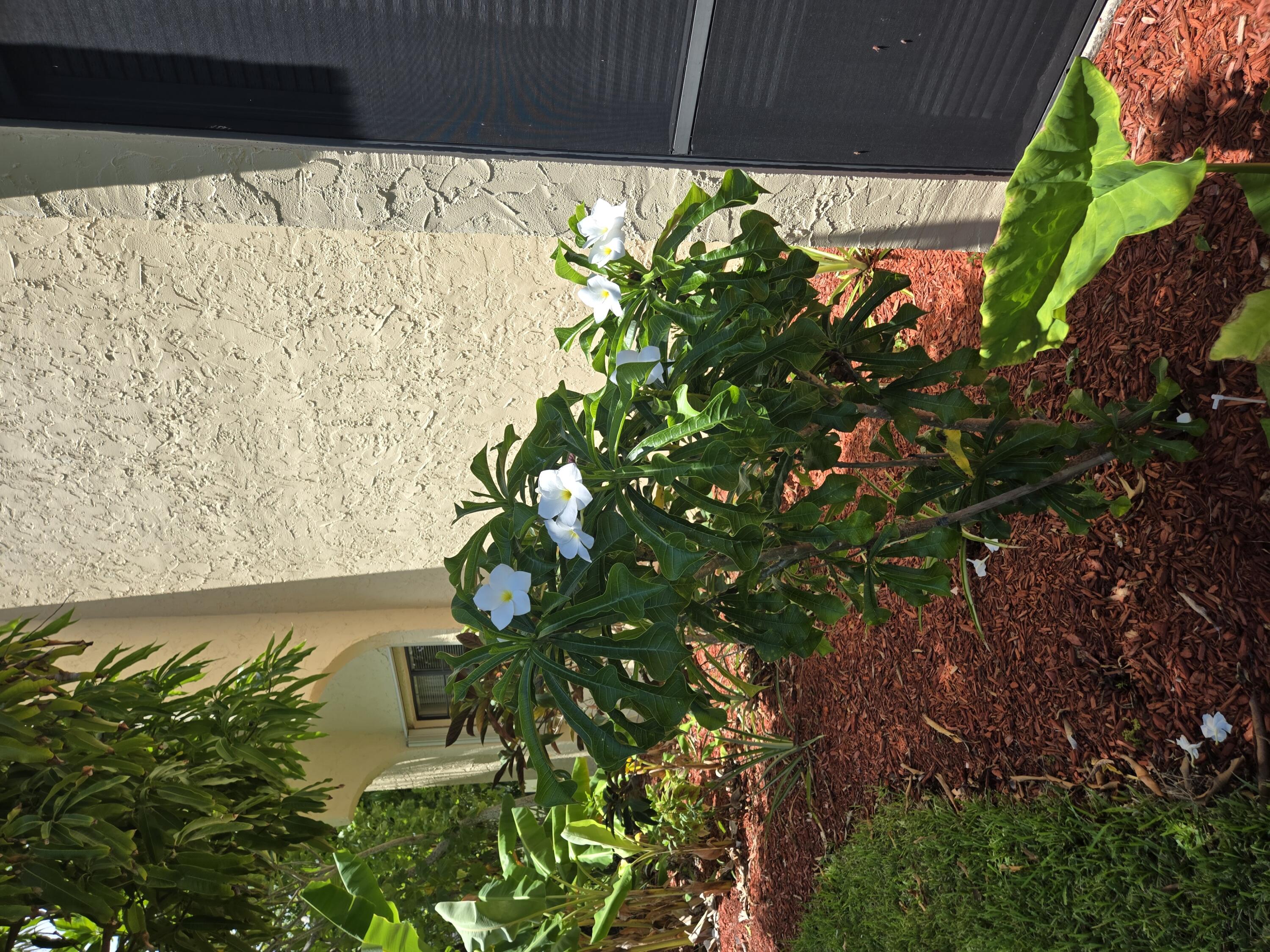 MLS #RX-11115692 img 0