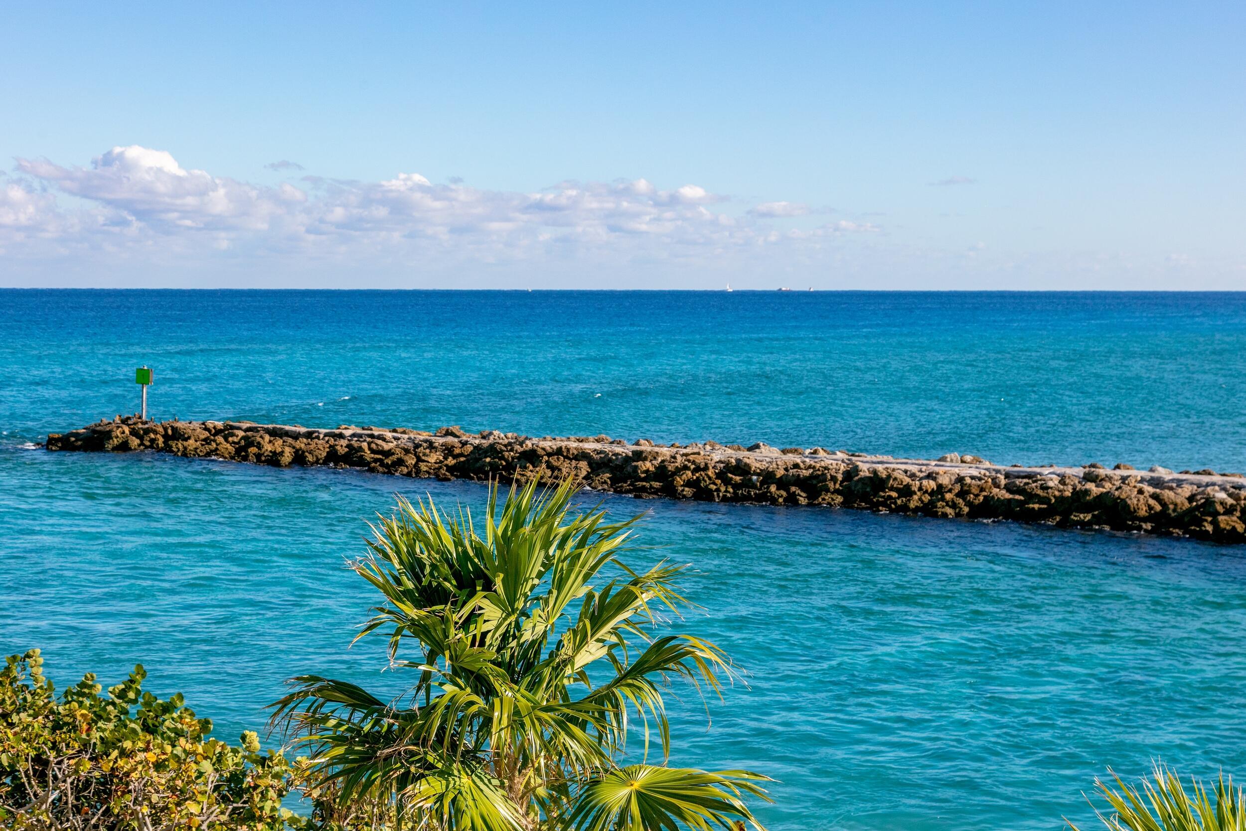 MLS #RX-11115992 image #47