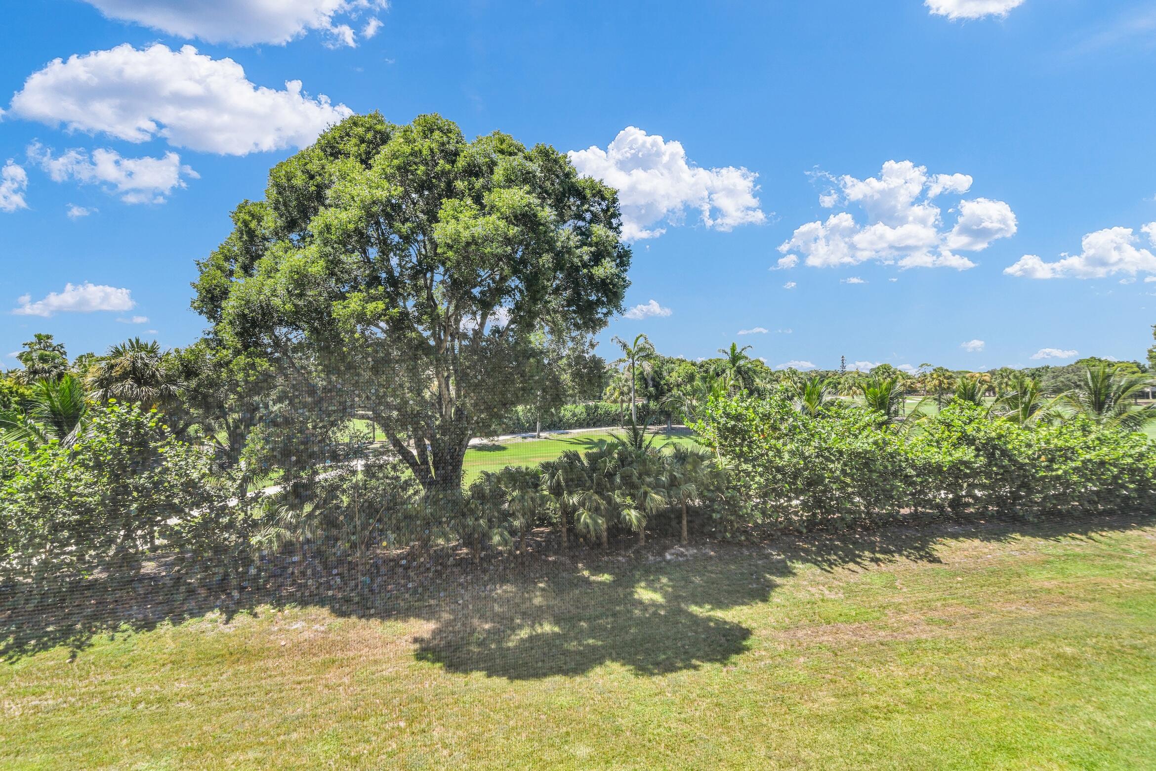 MLS #RX-11116302 image #14