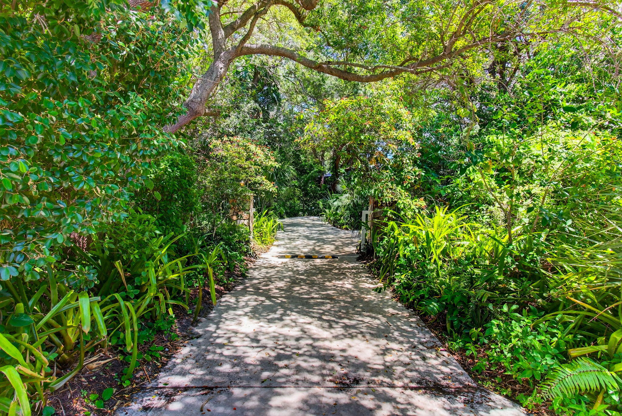 MLS #RX-11116809 image #22