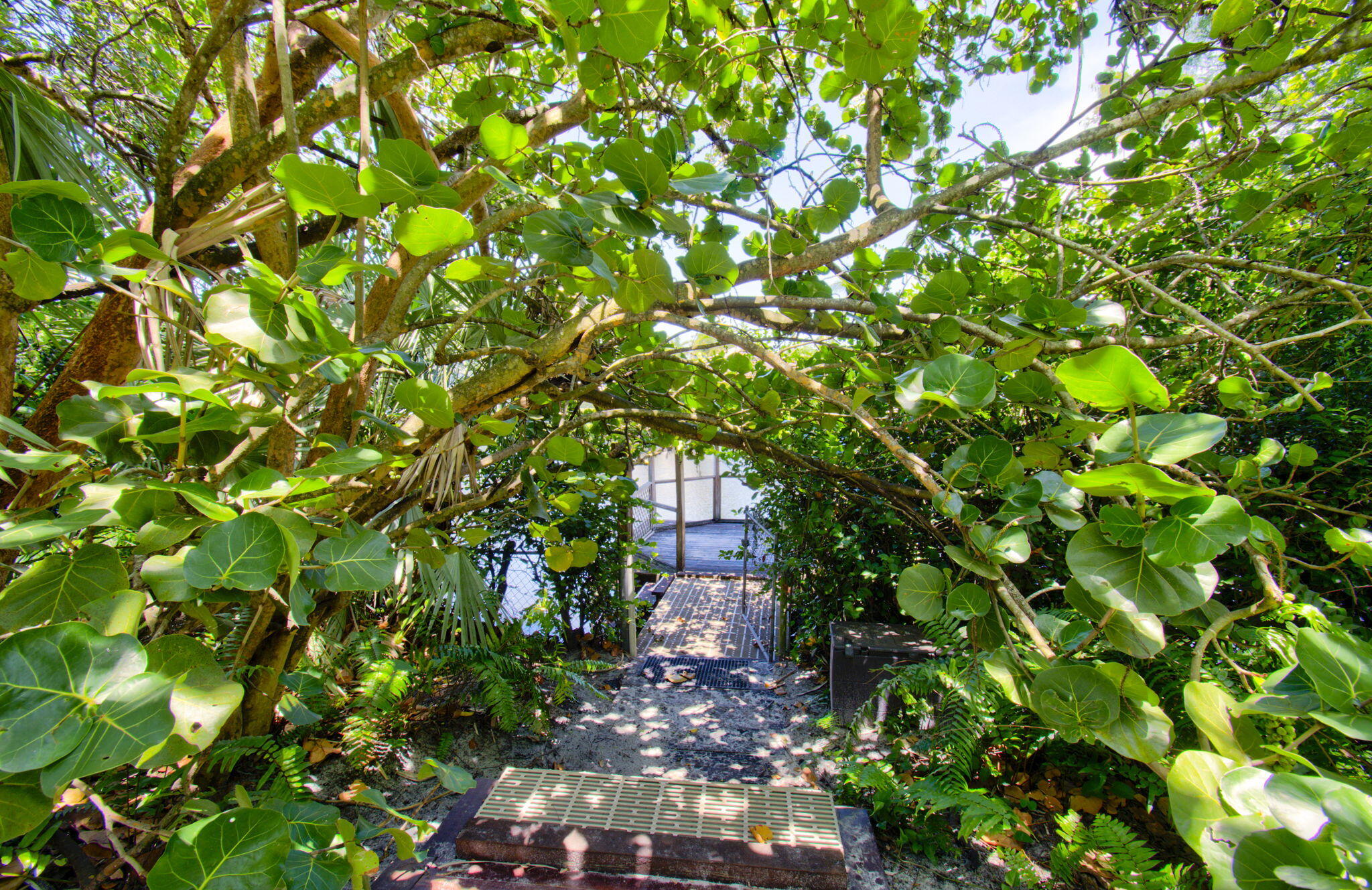 MLS #RX-11116809 image #9