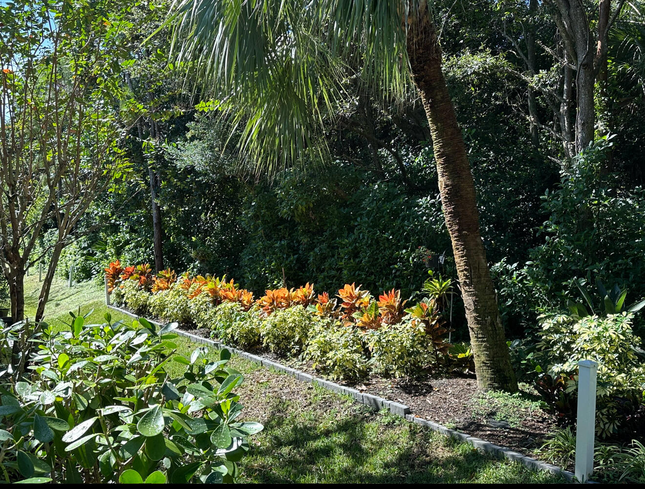 MLS #RX-11116850 image #2