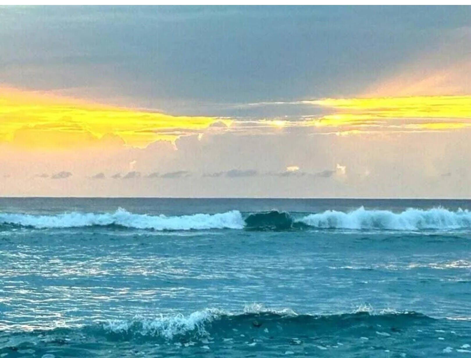 MLS #RX-11116850 image #46