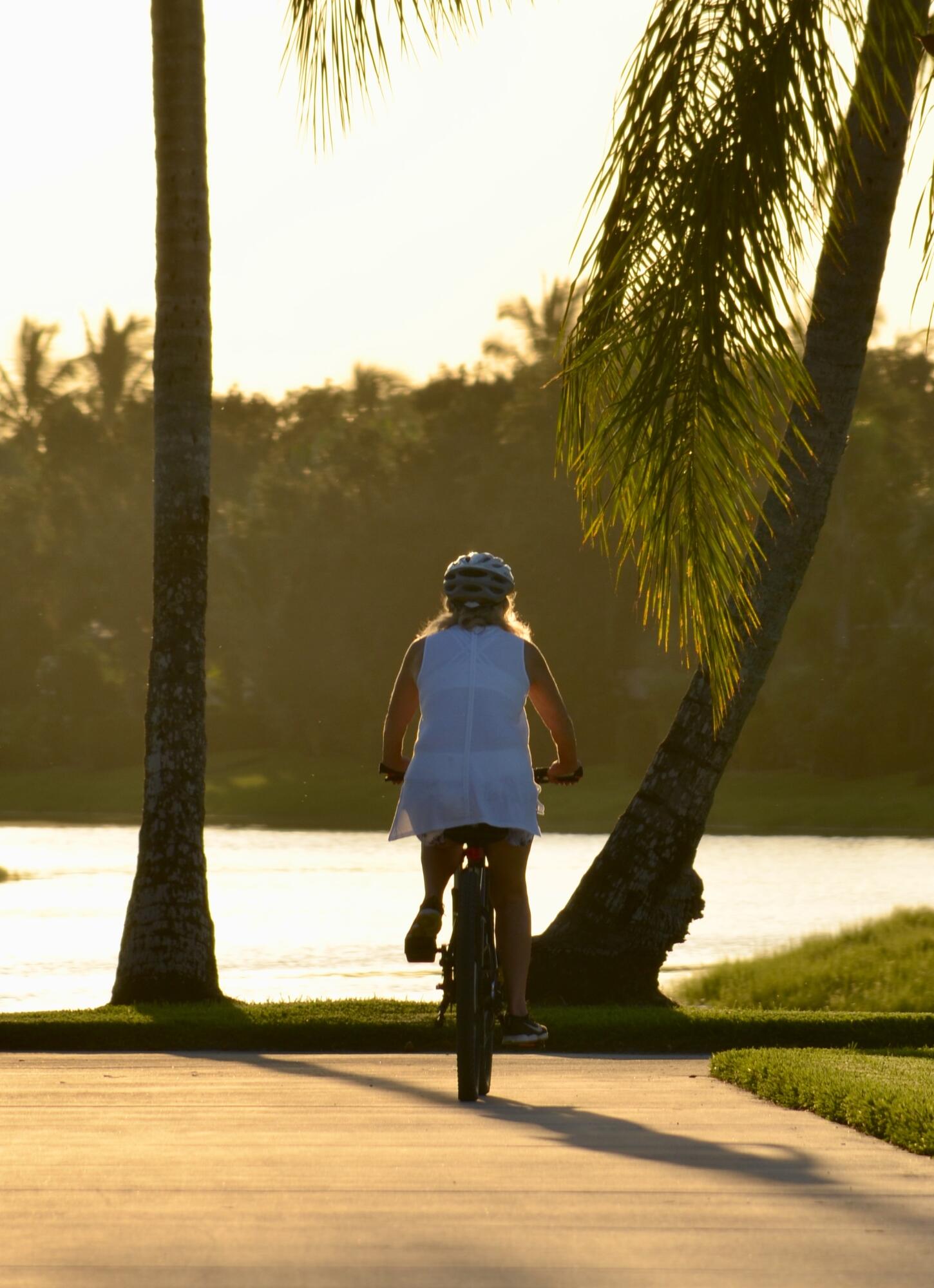 MLS #RX-11116984 image #42