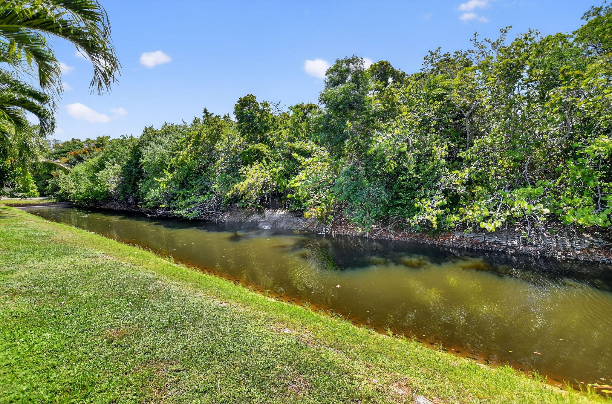 MLS #RX-11117223 image #42