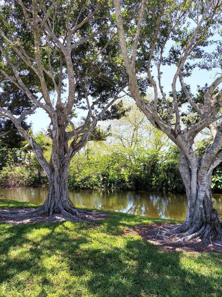 MLS #RX-11117662 image #2