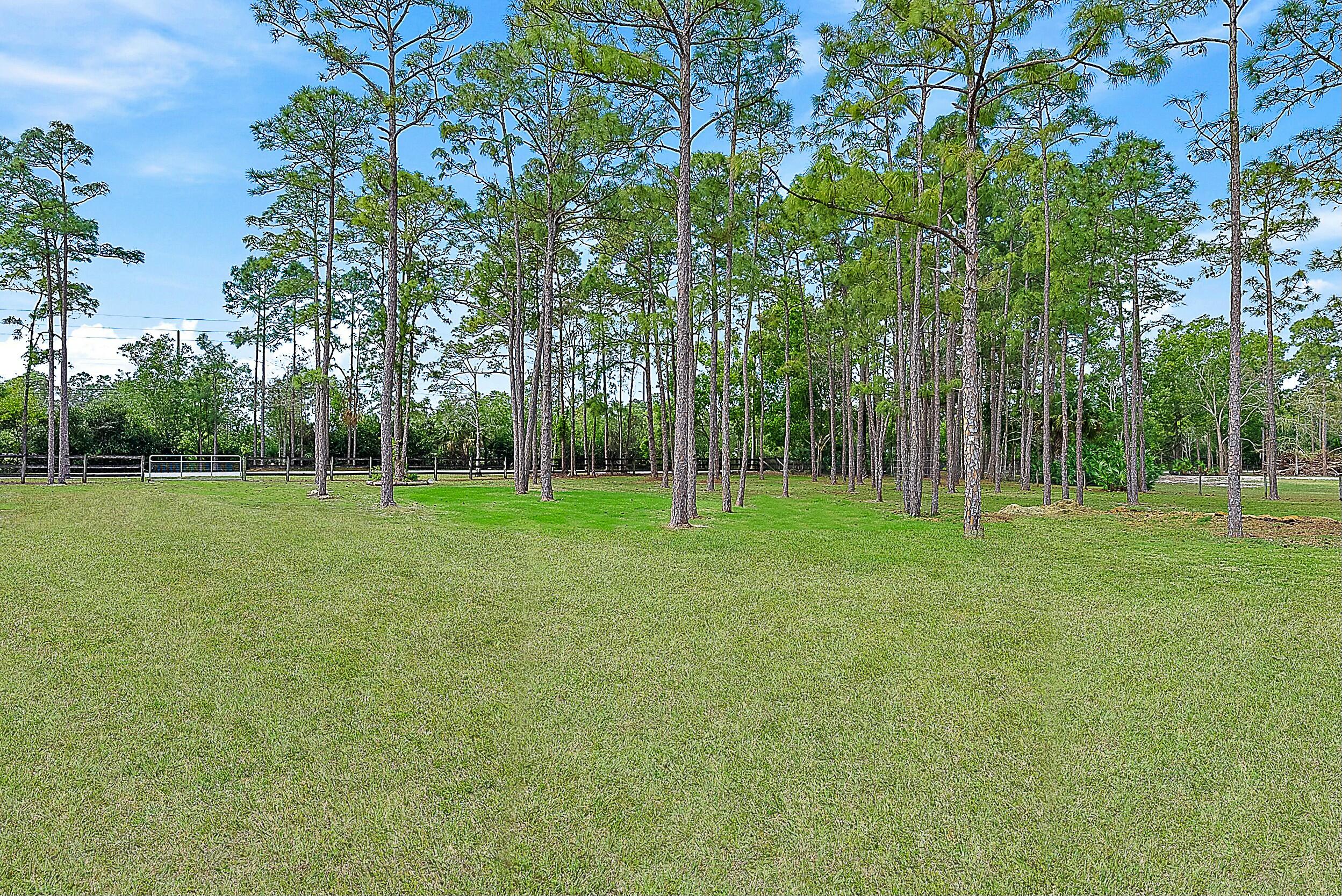MLS #RX-11117767 image #31