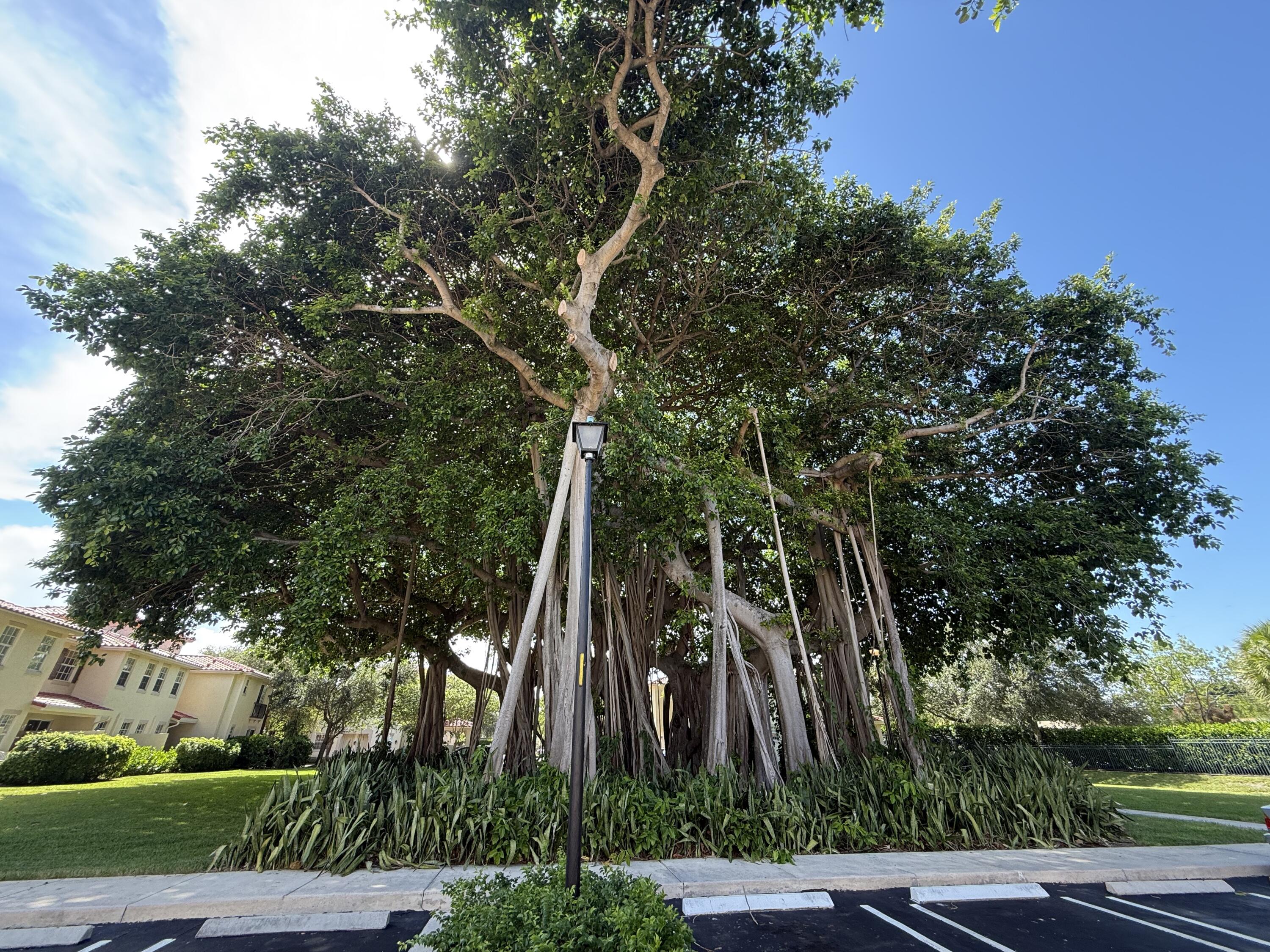 MLS #RX-11118028 image #27