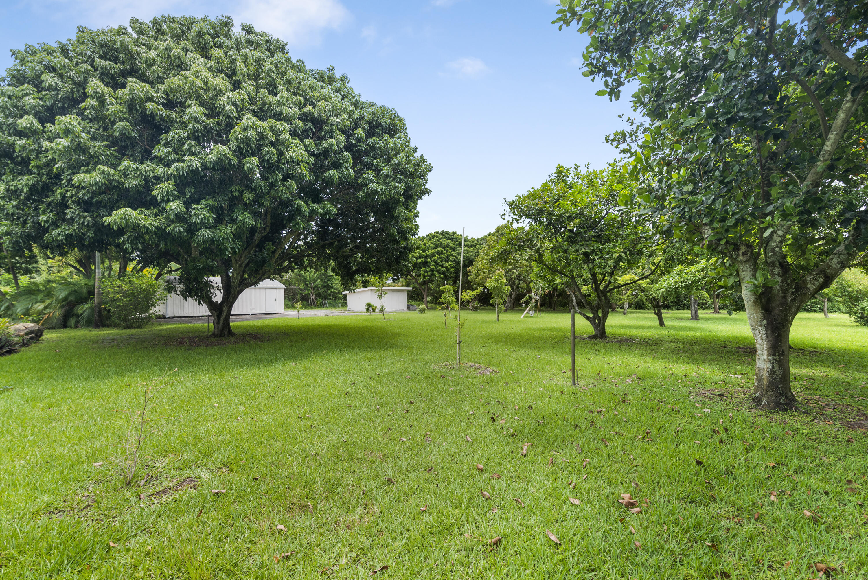 MLS #RX-11118036 image #42