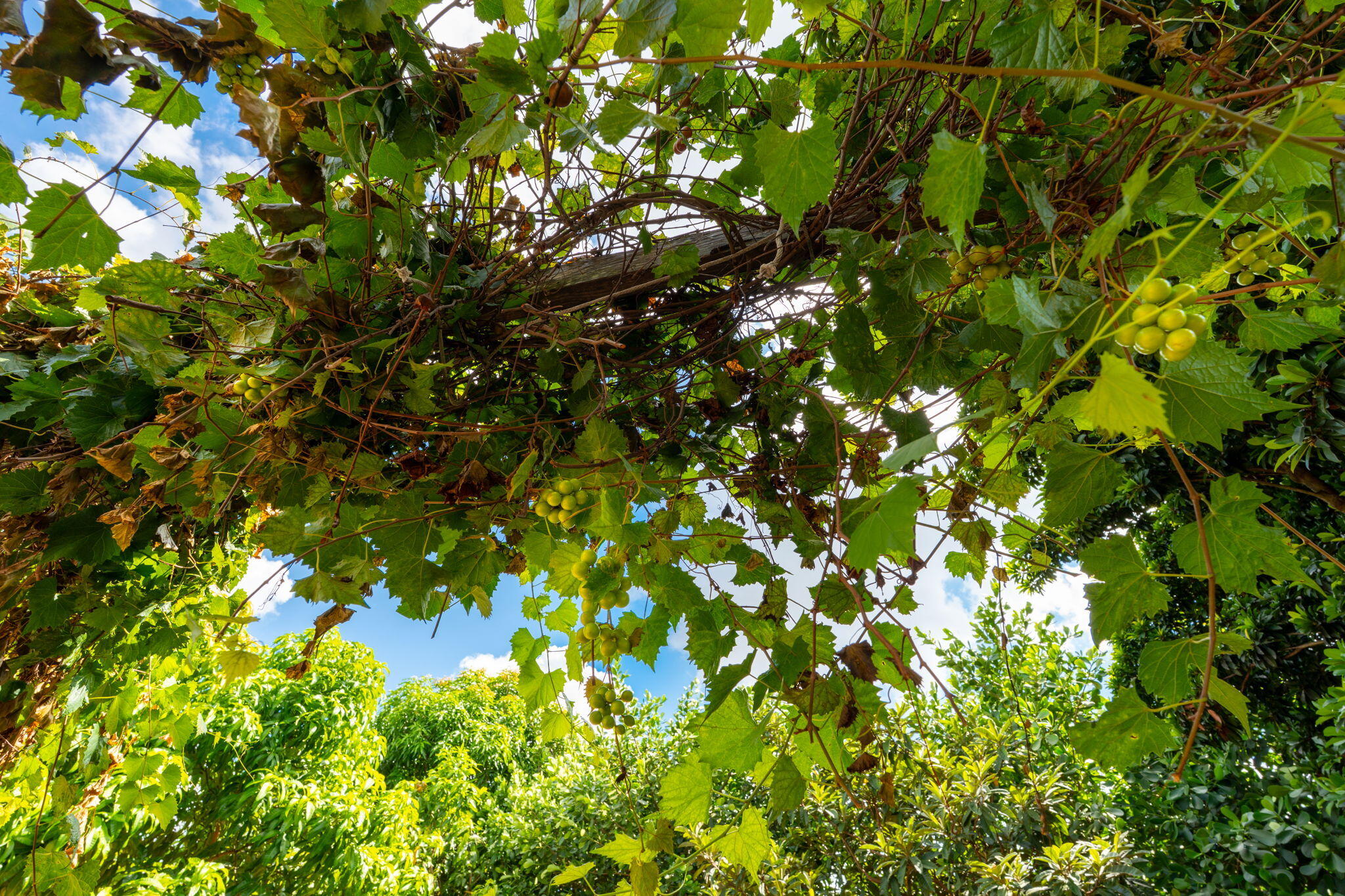 MLS #RX-11118902 image #40