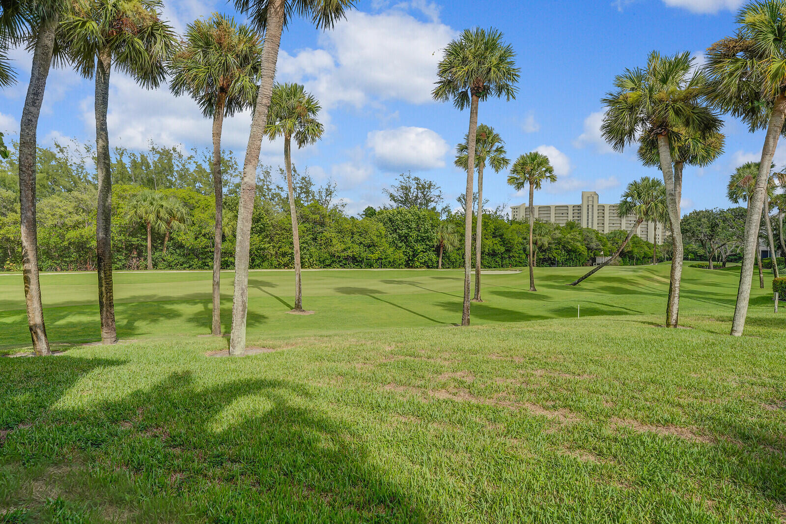 MLS #RX-11119016 image #32