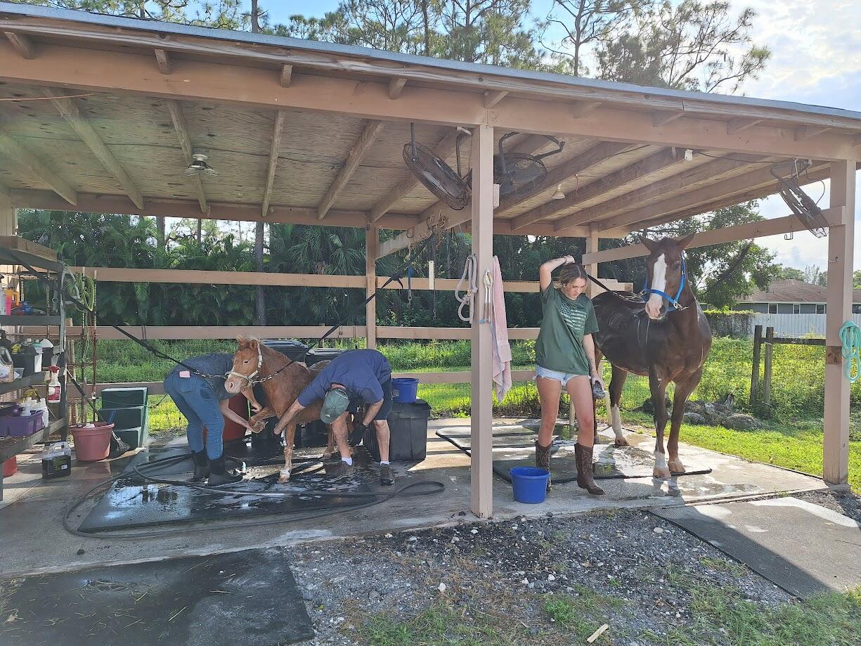 MLS #RX-11119951 image #23