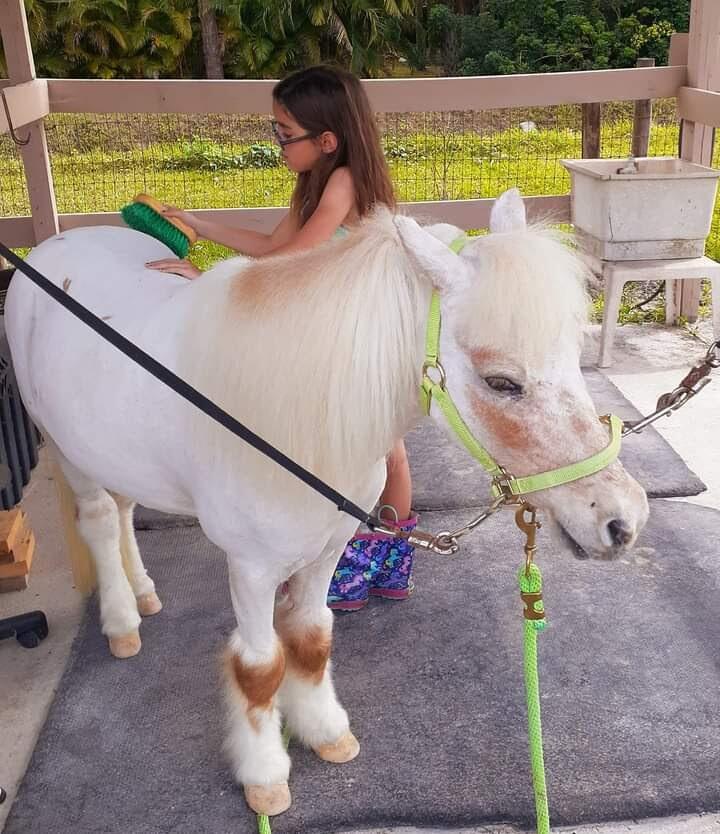 MLS #RX-11119951 image #26