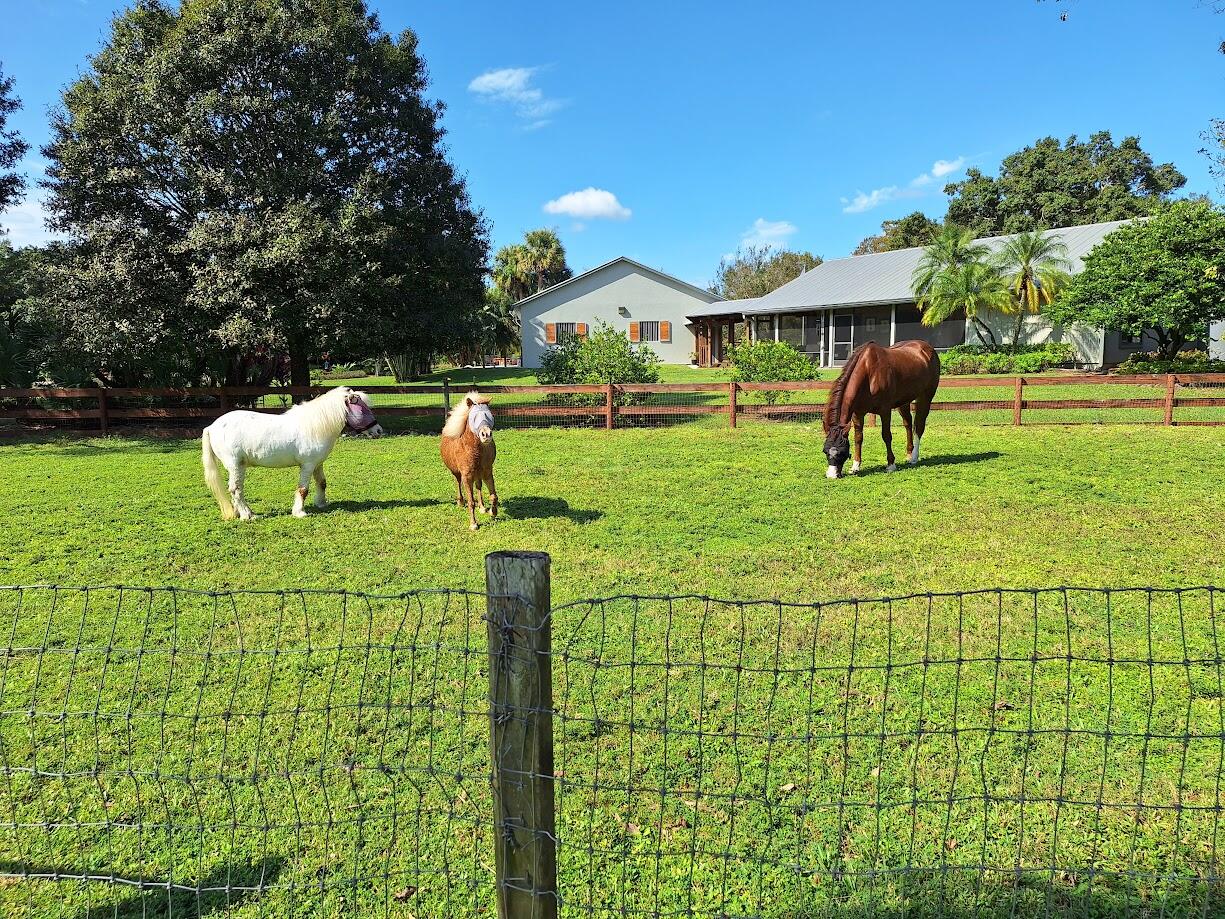 MLS #RX-11119951 image #9