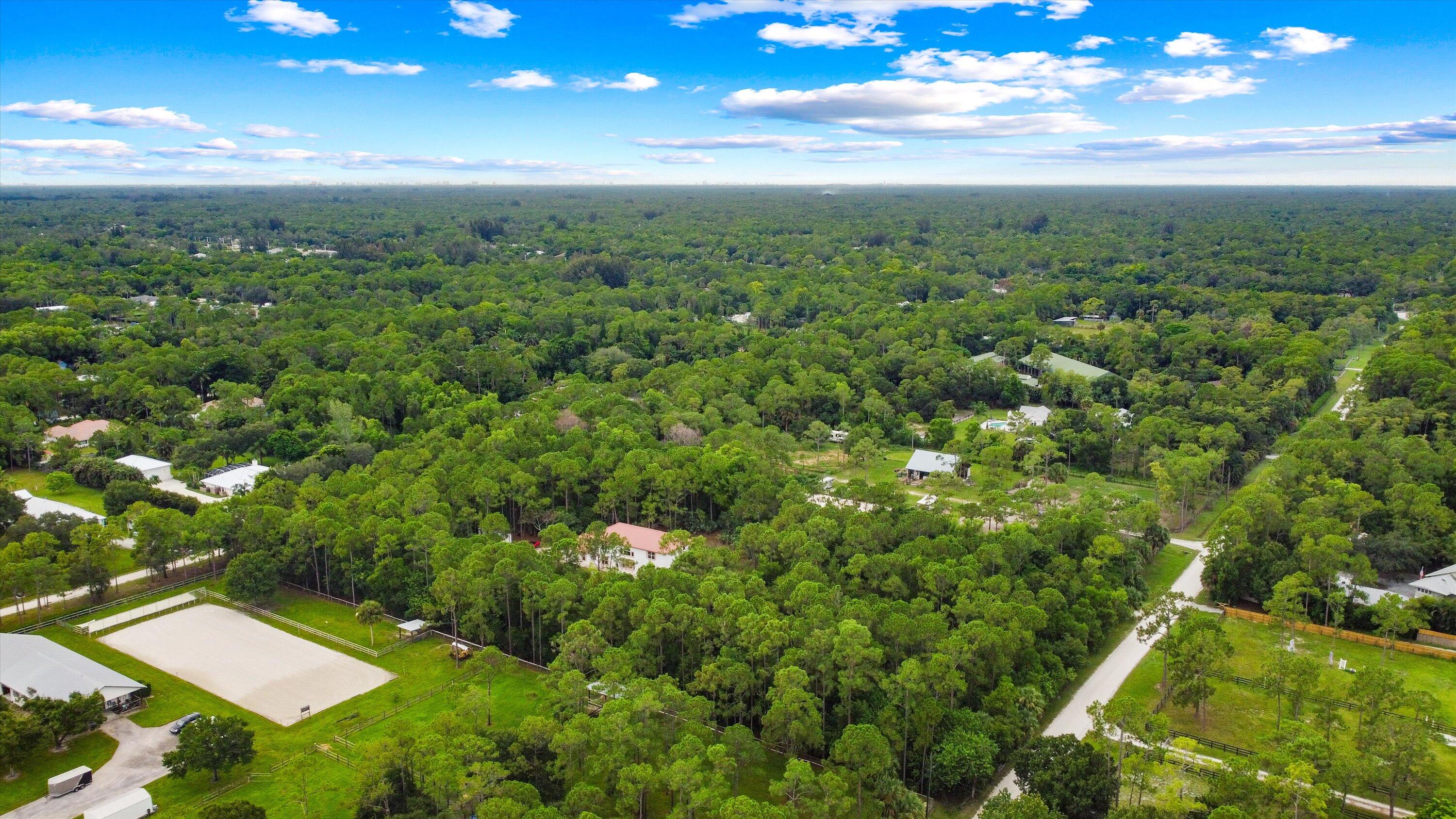 MLS #RX-11119983 image #11