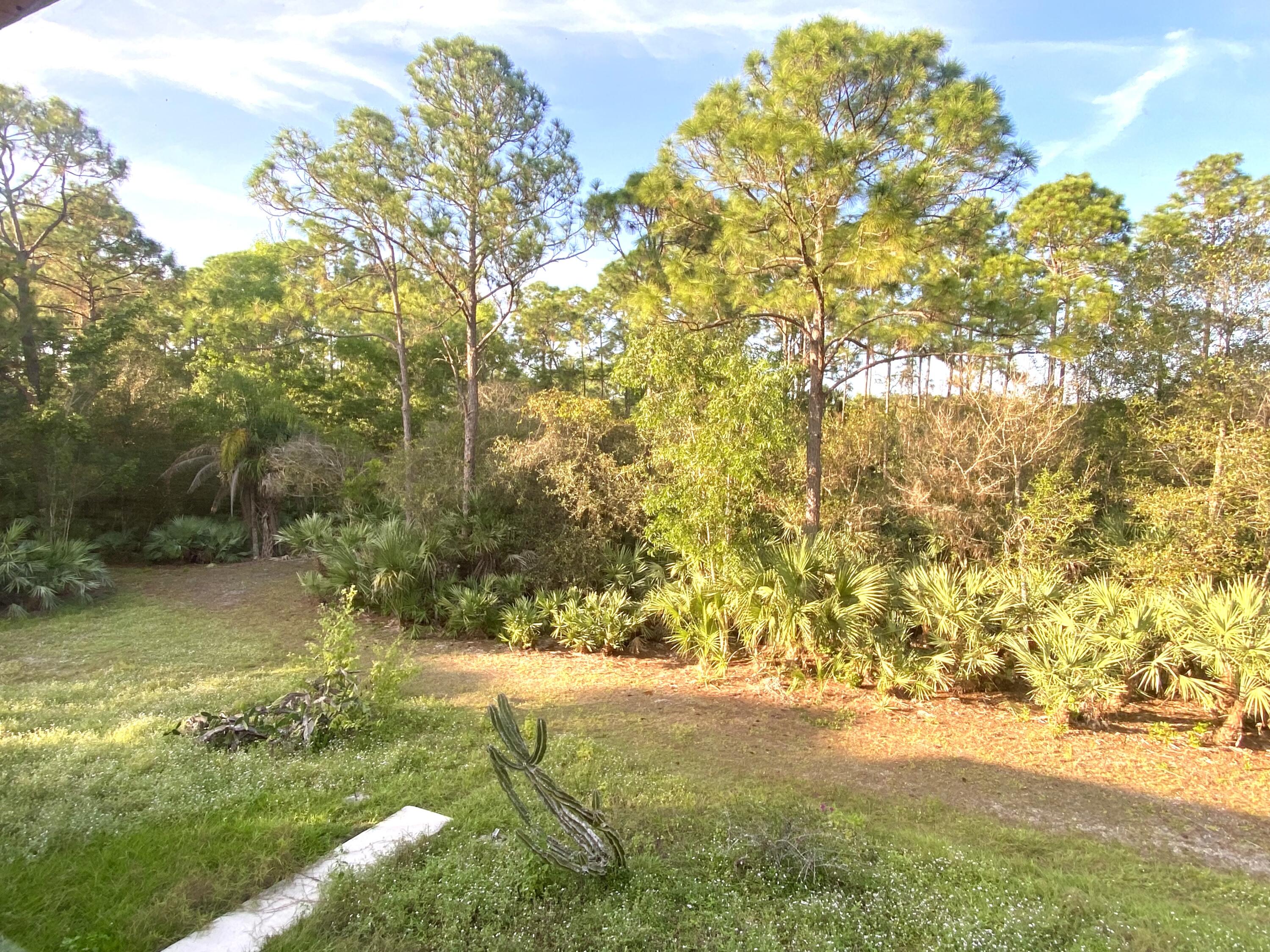 MLS #RX-11119983 image #18