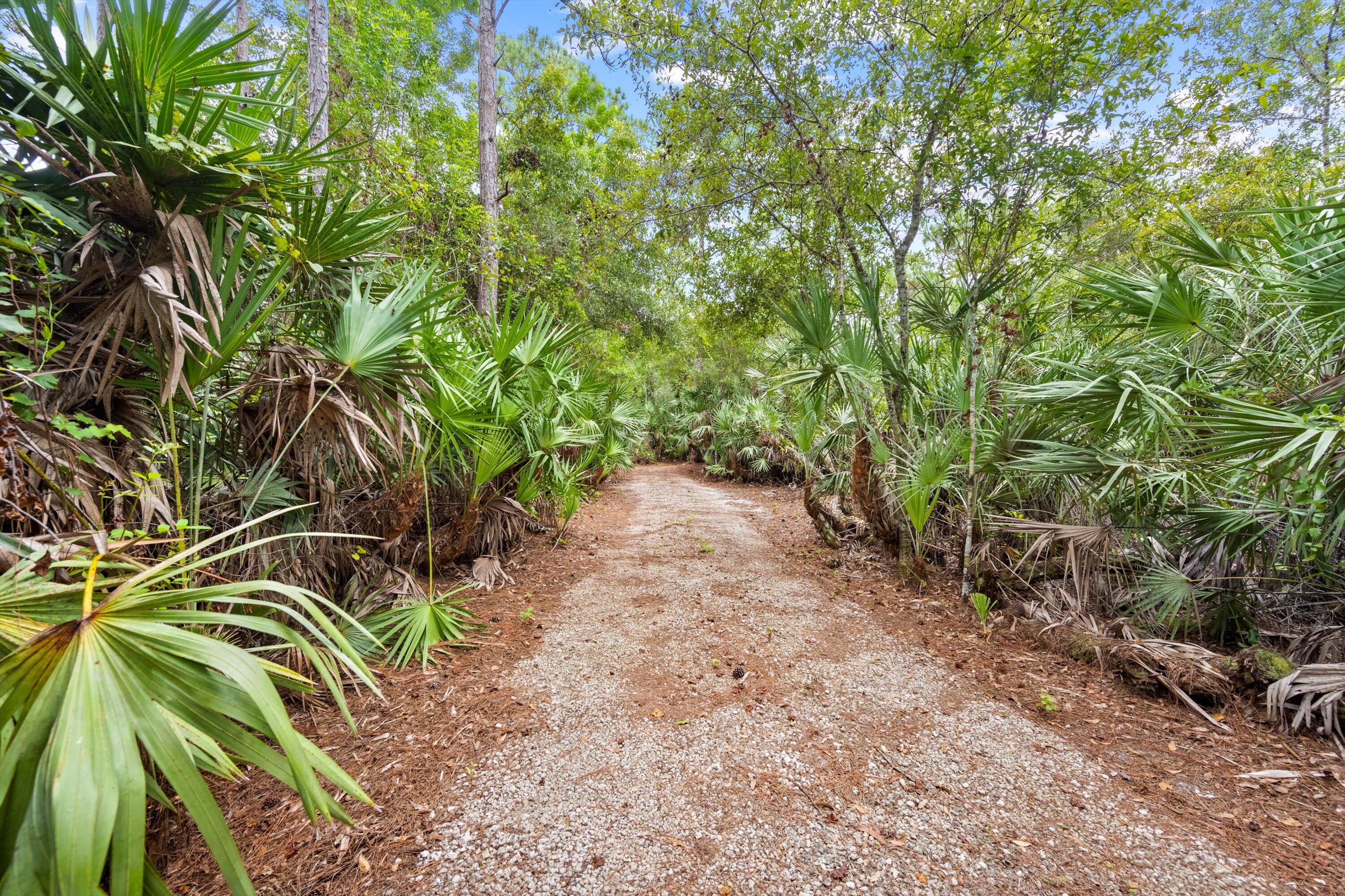 MLS #RX-11119983 image #26