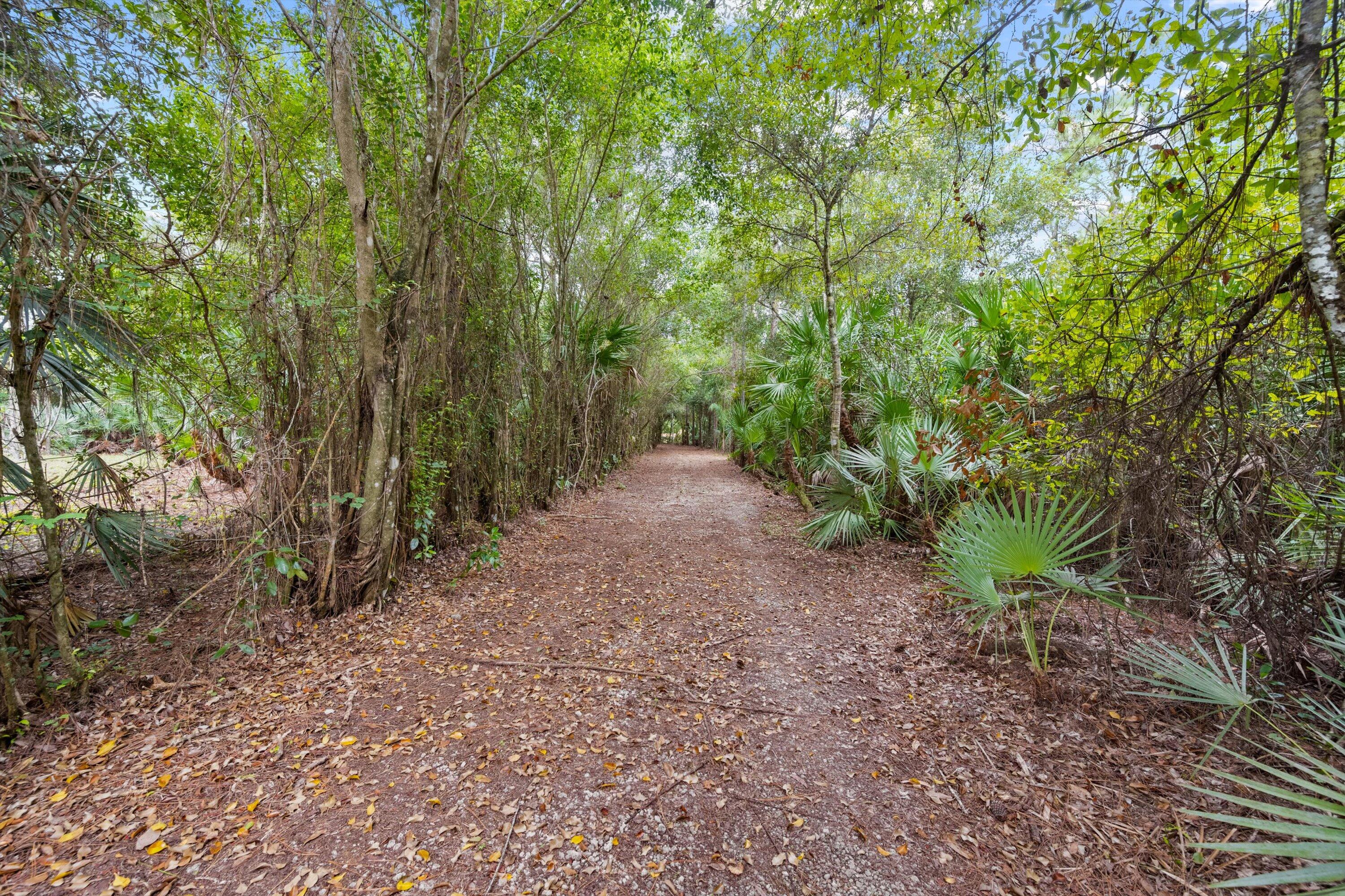 MLS #RX-11119983 image #28