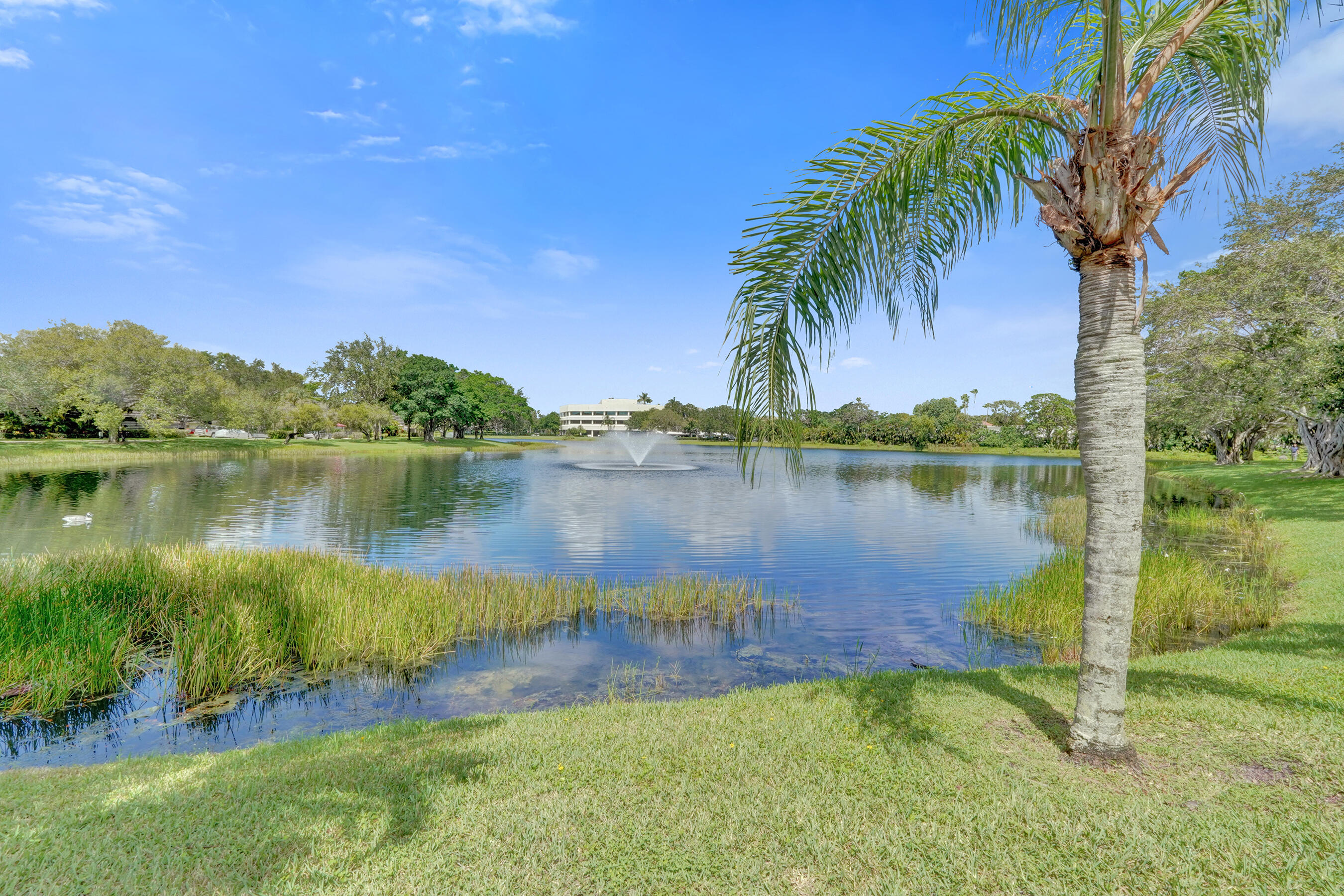 MLS #RX-11120862 image #36