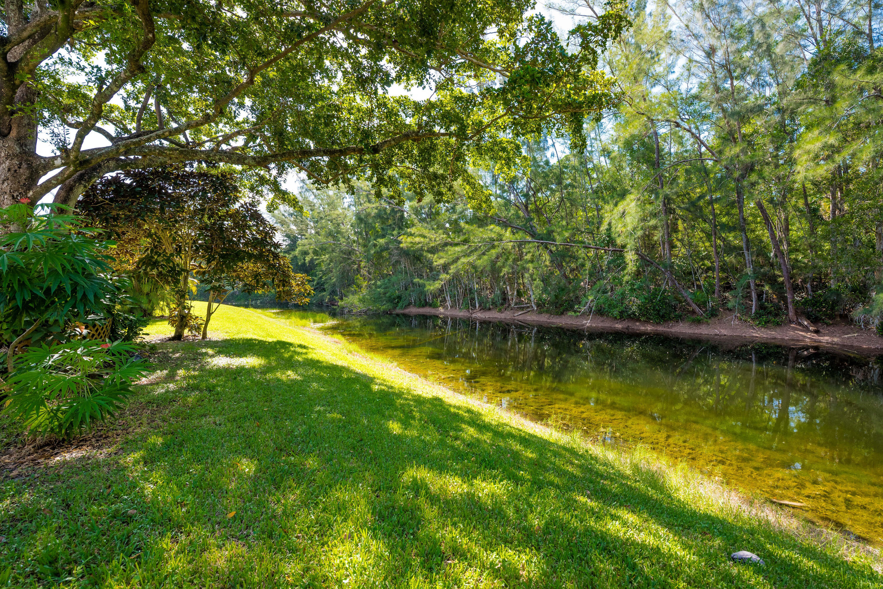 MLS #RX-11121010 image #16