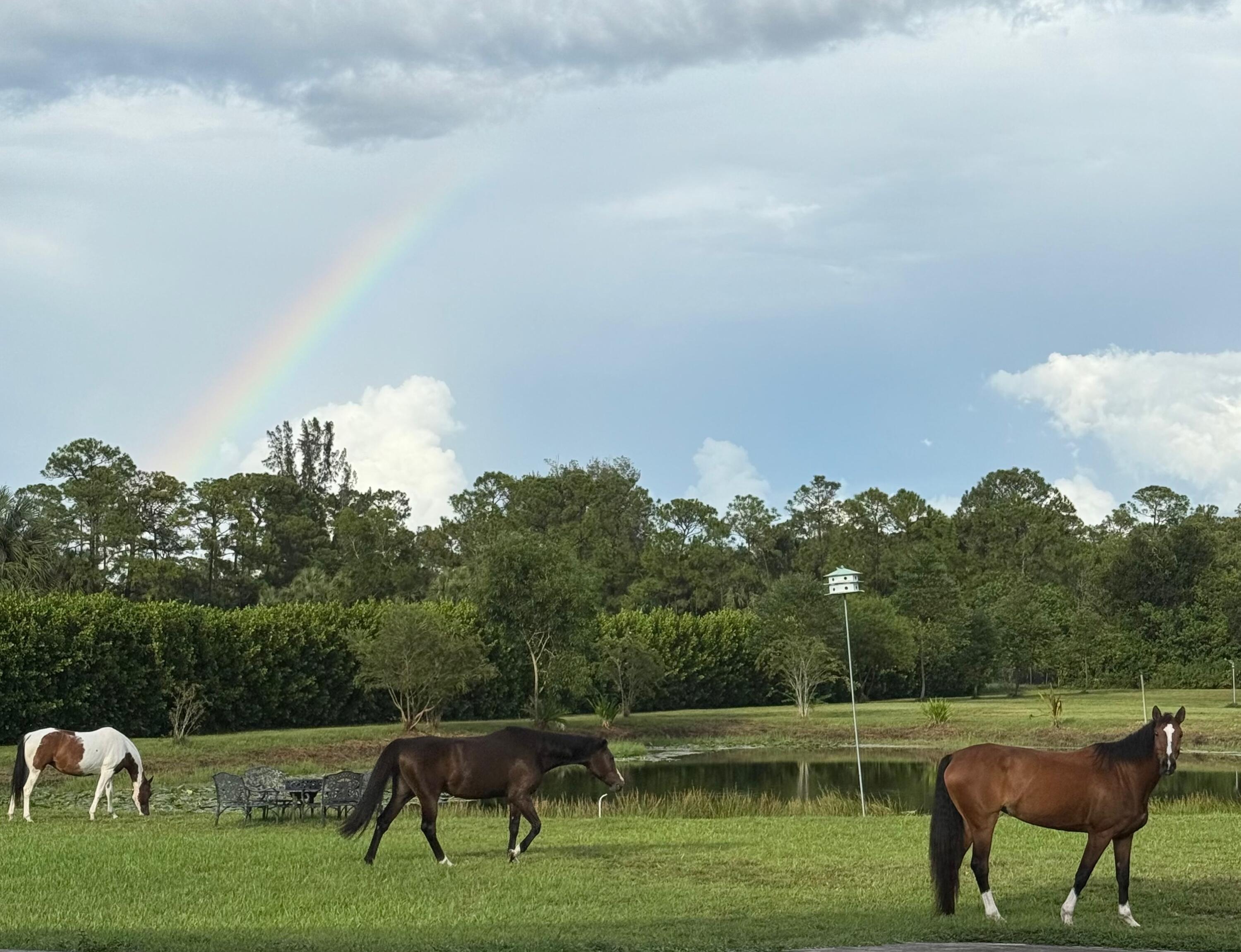 MLS #RX-11121290 image #16