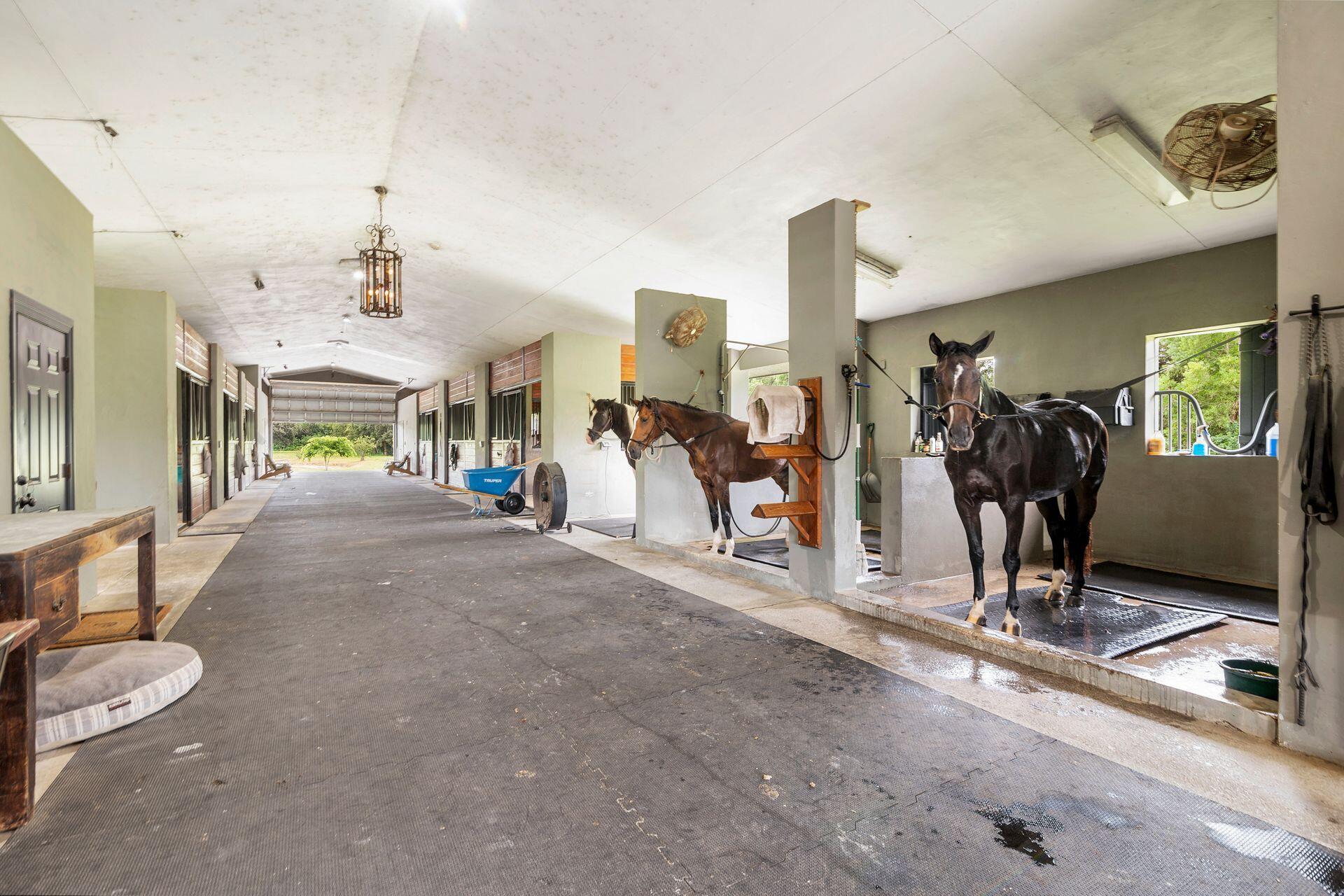 MLS #RX-11121290 image #5