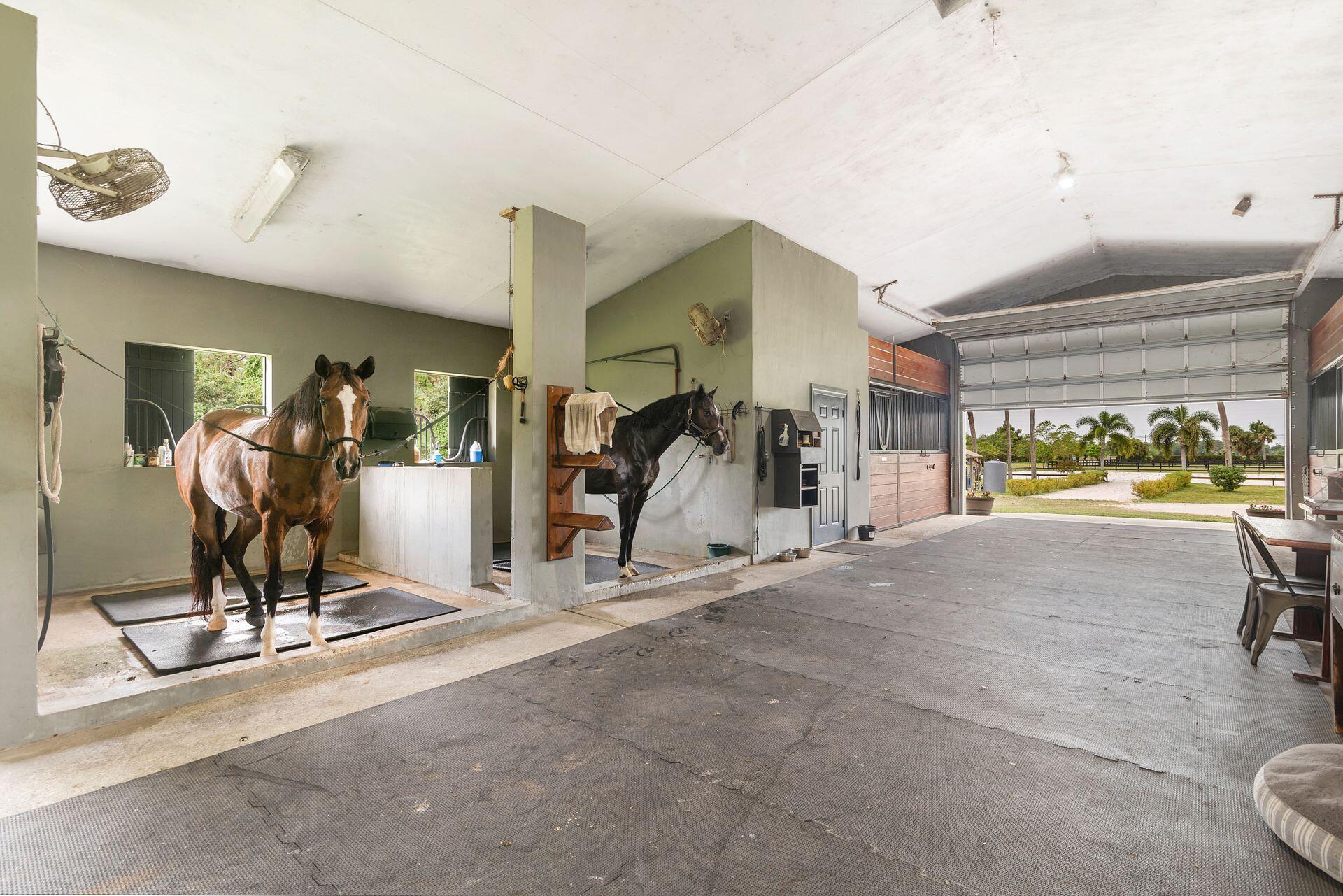 MLS #RX-11121290 image #6