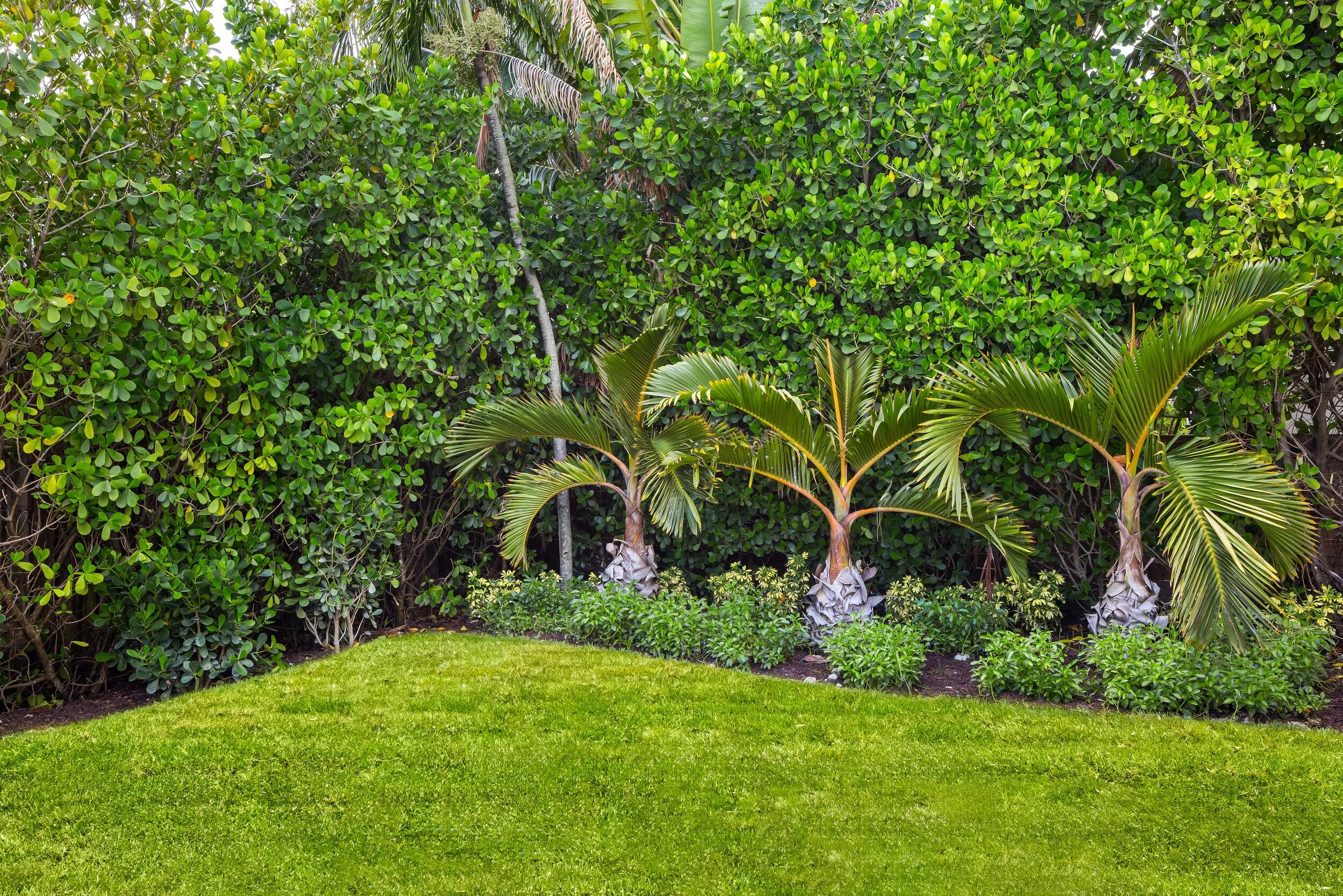 MLS #RX-11121666 image #49