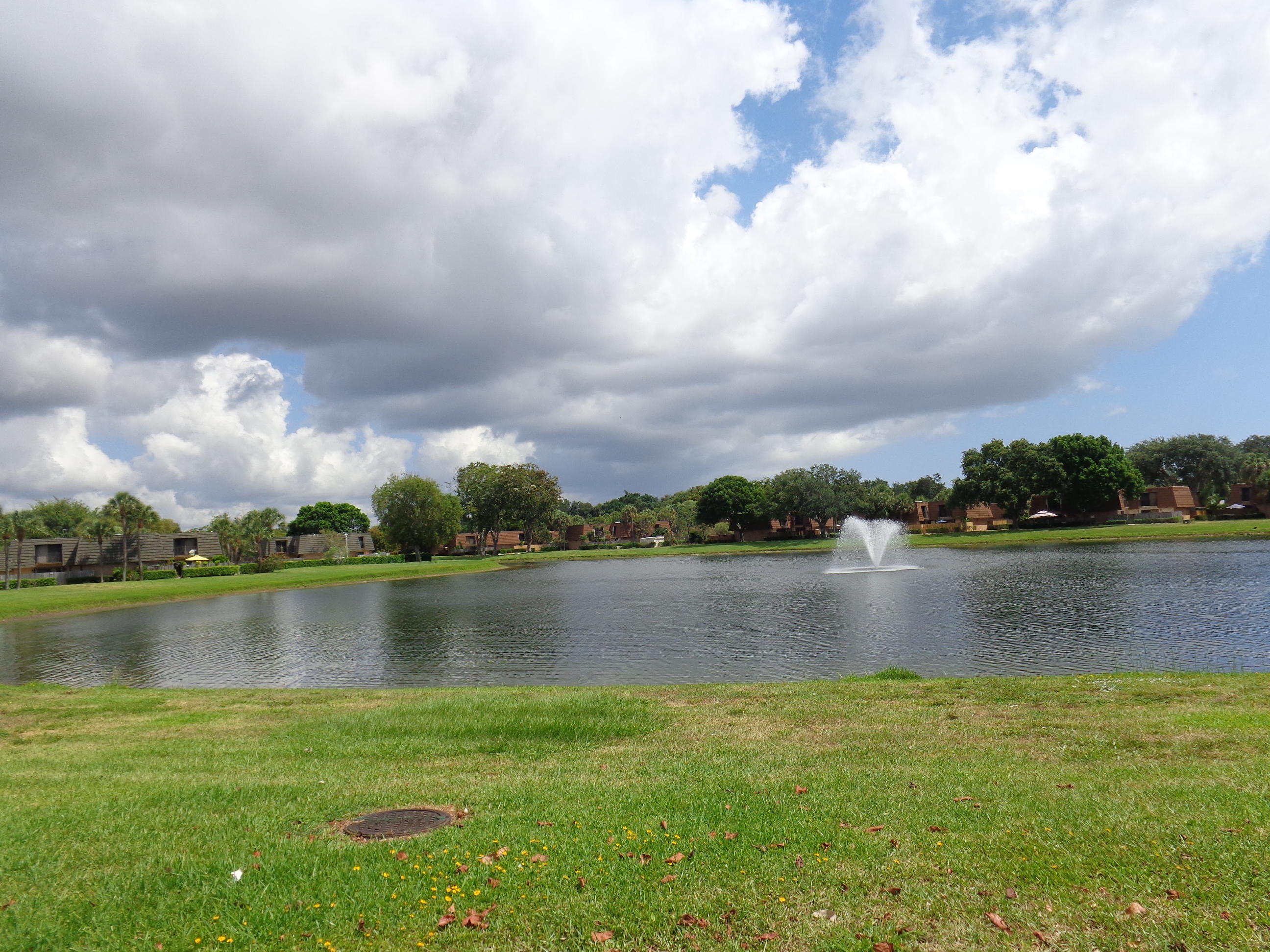 MLS #RX-11122061 image #21