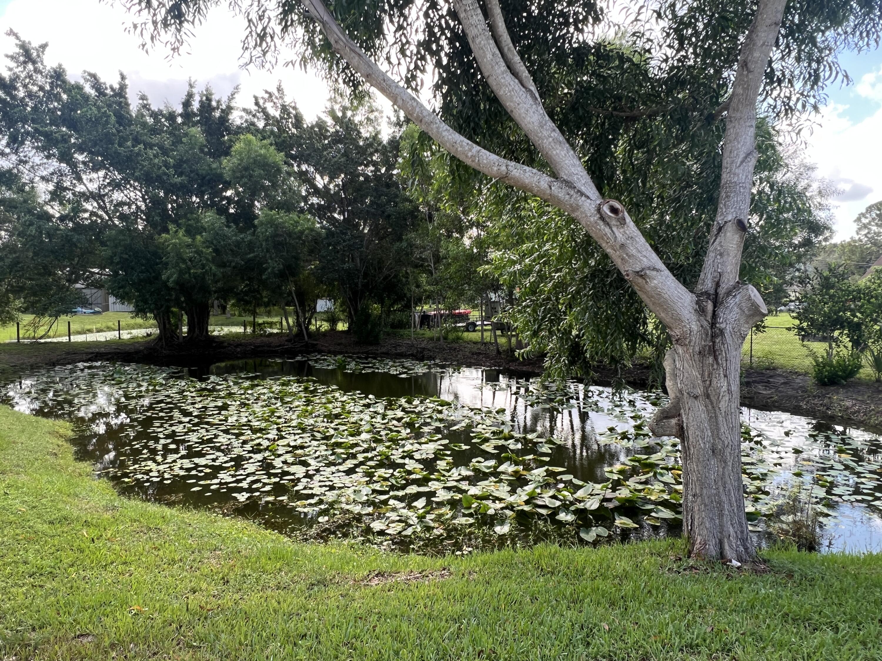 MLS #RX-11122235 image #21