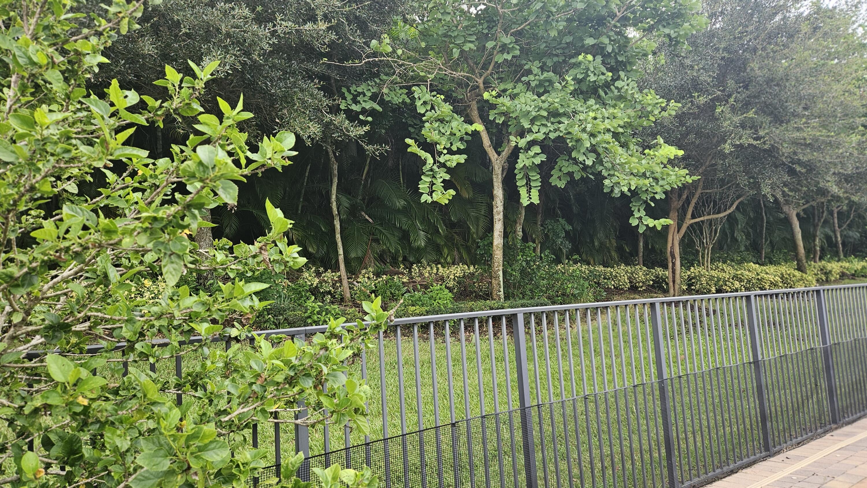 MLS #RX-11122433 image #58