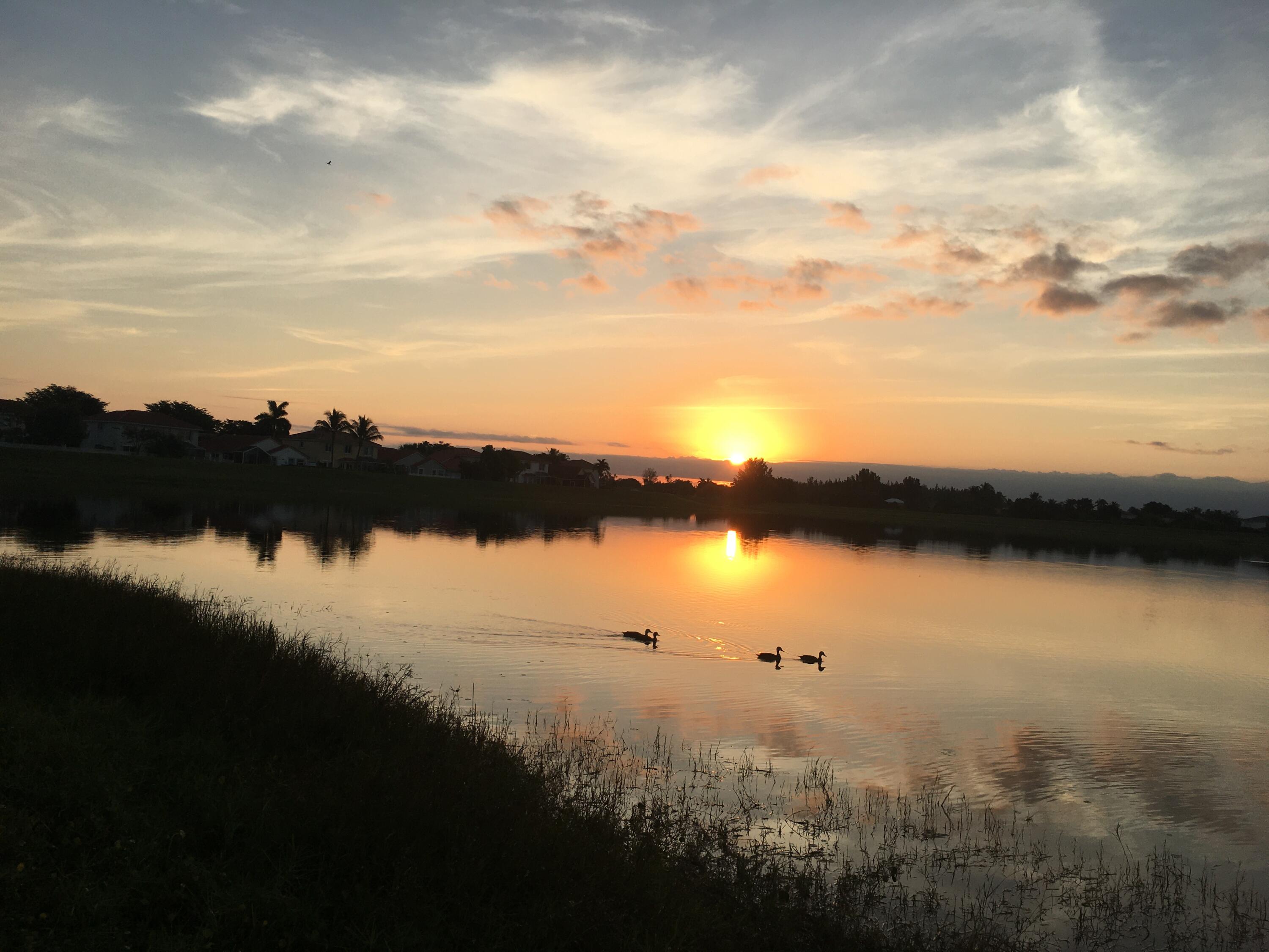 MLS #RX-11075087 image #81