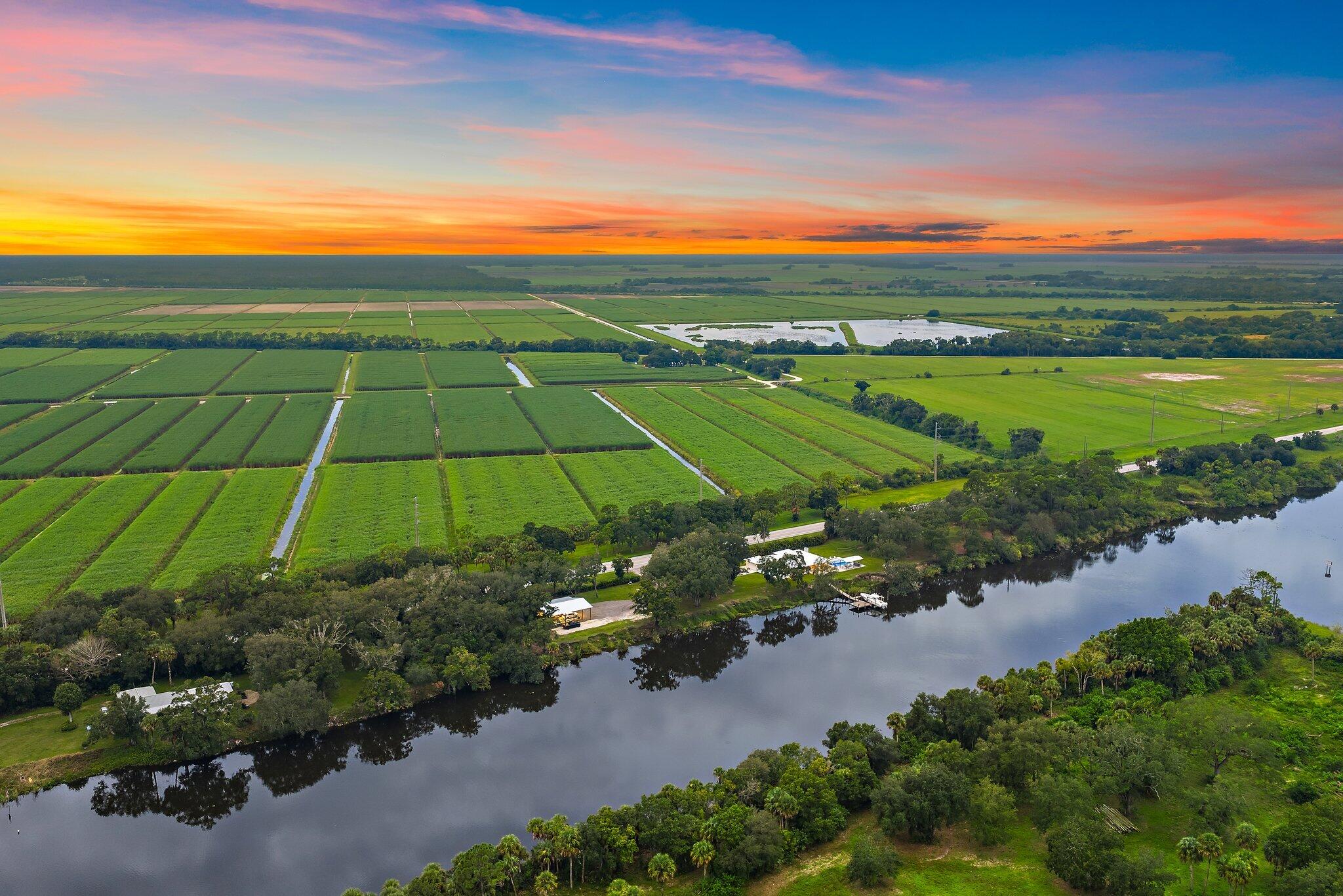 MLS #RX-11122986 image #5