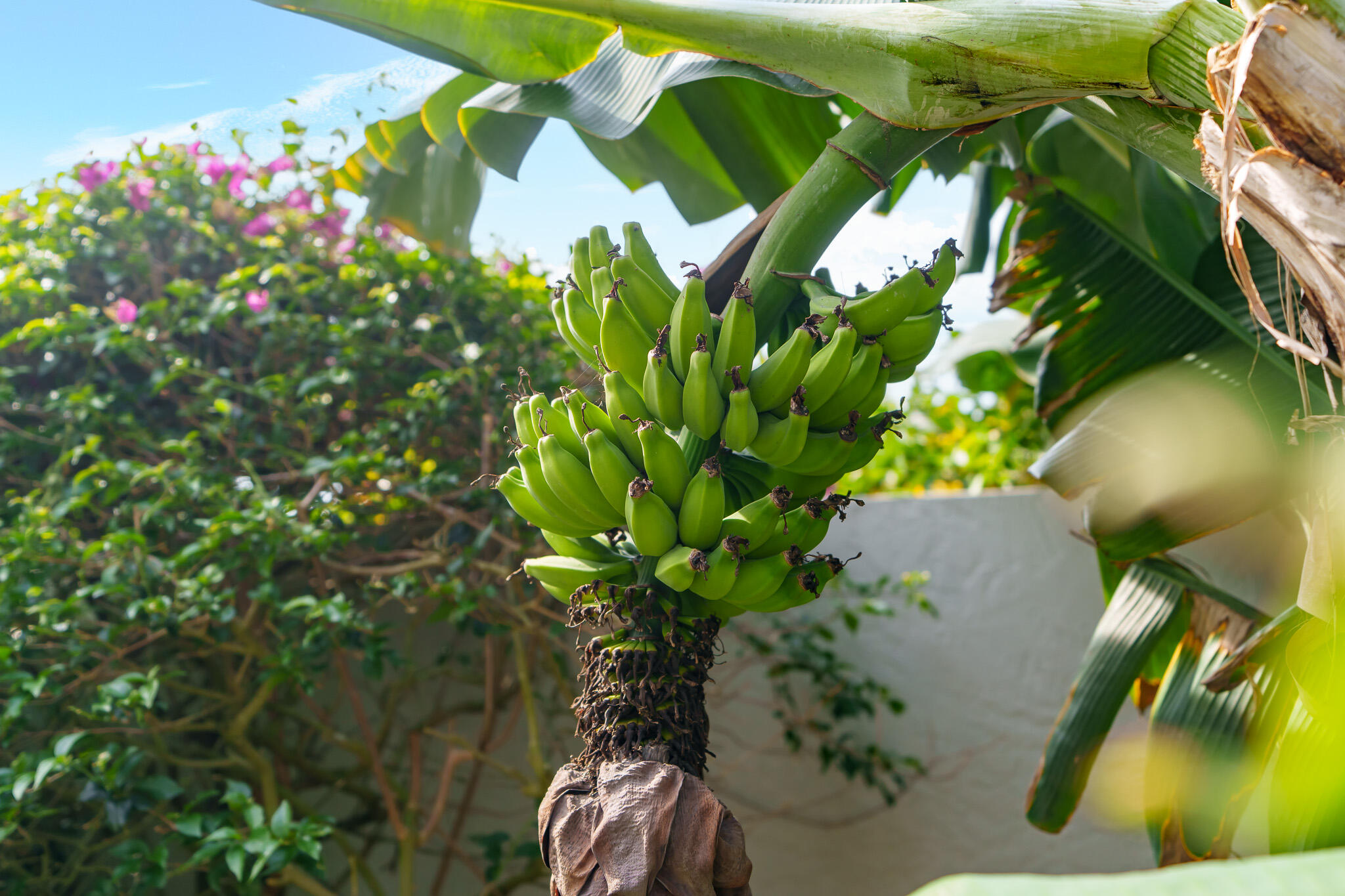 MLS #RX-10979135 image #26