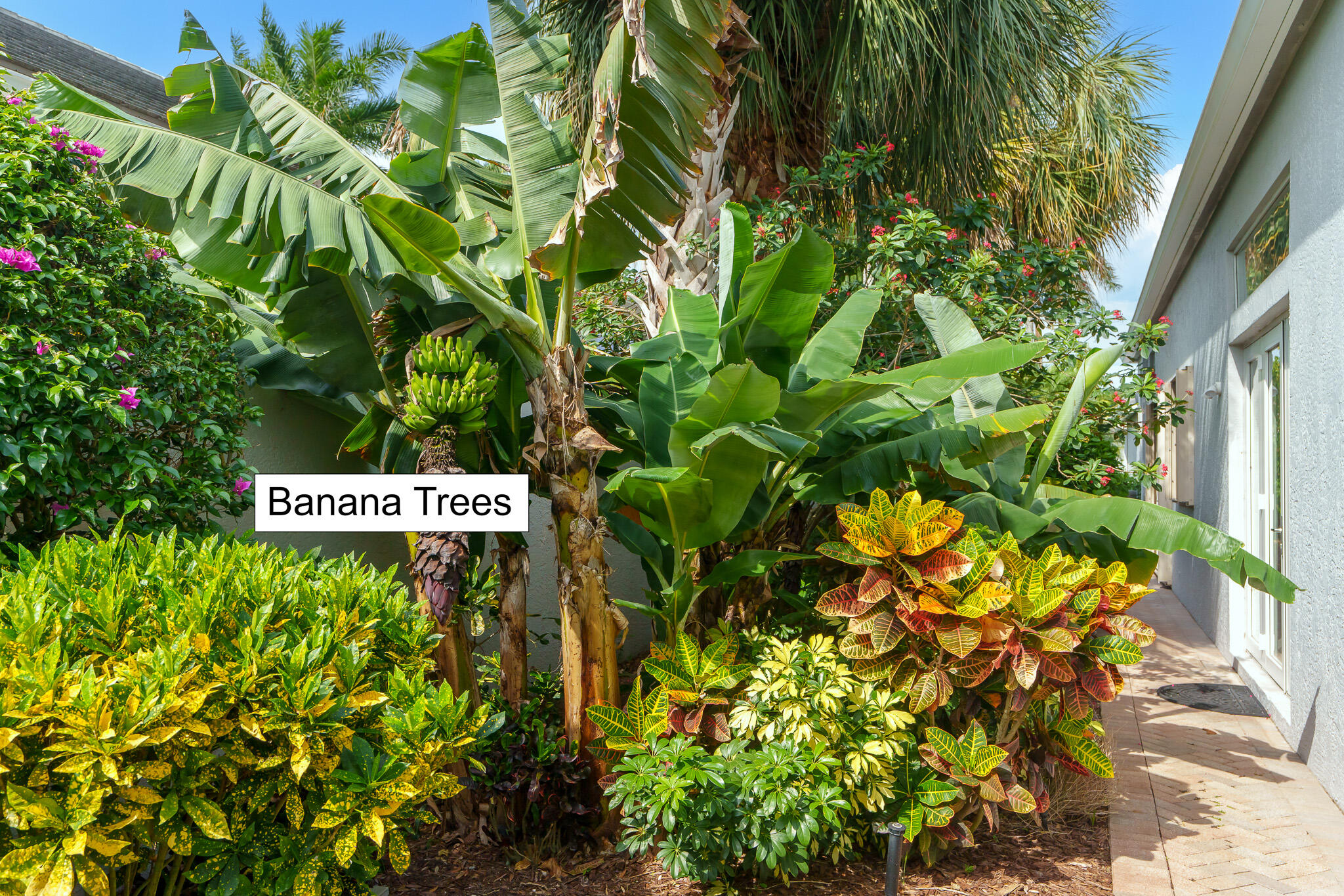 MLS #RX-10979135 image #27