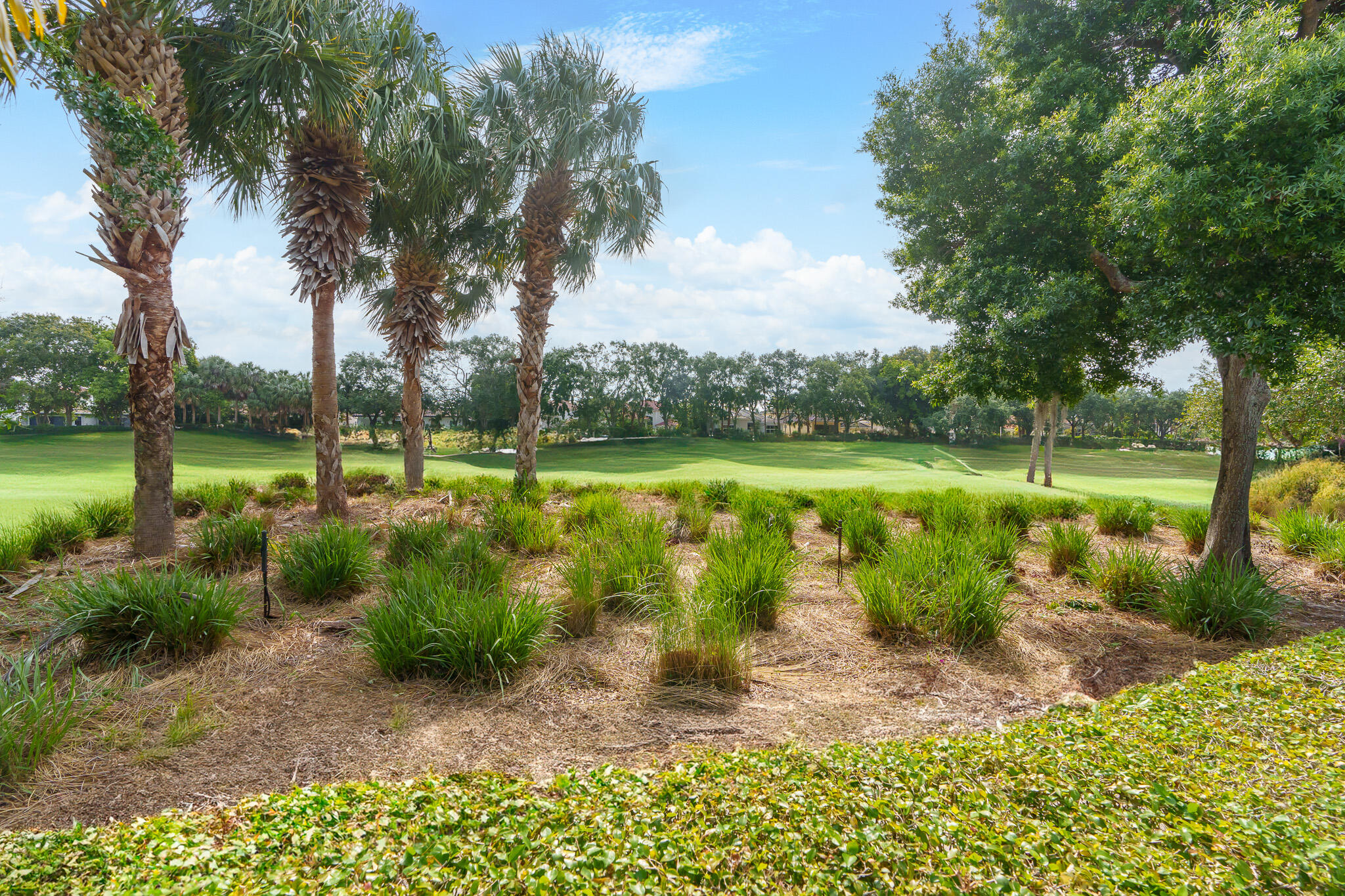 MLS #RX-10979135 image #28