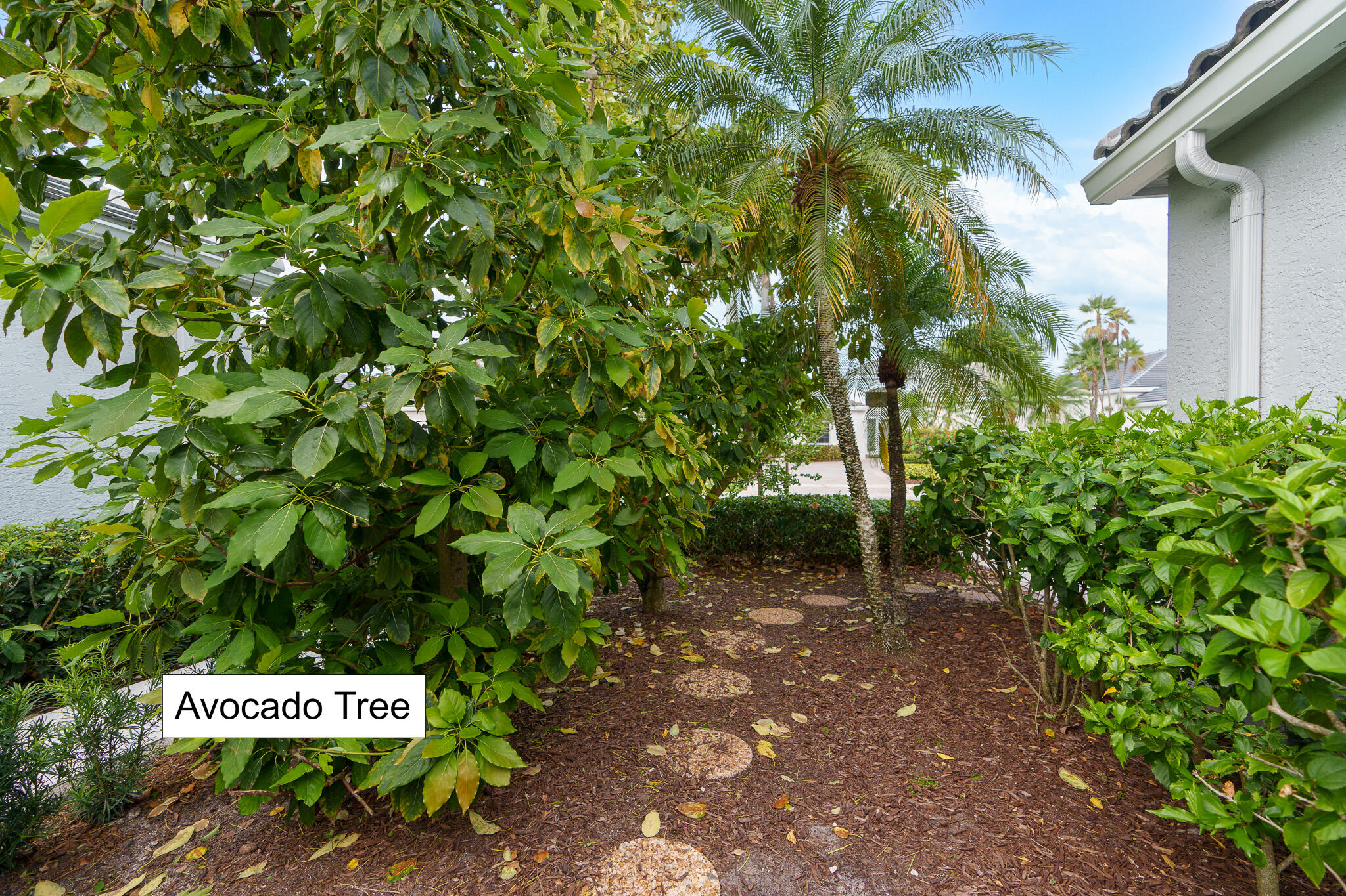 MLS #RX-10979135 image #33