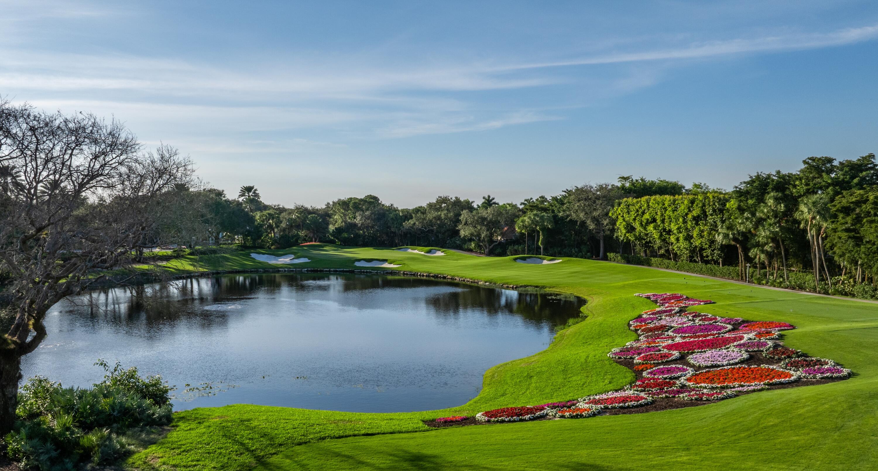 MLS #RX-10979135 image #50