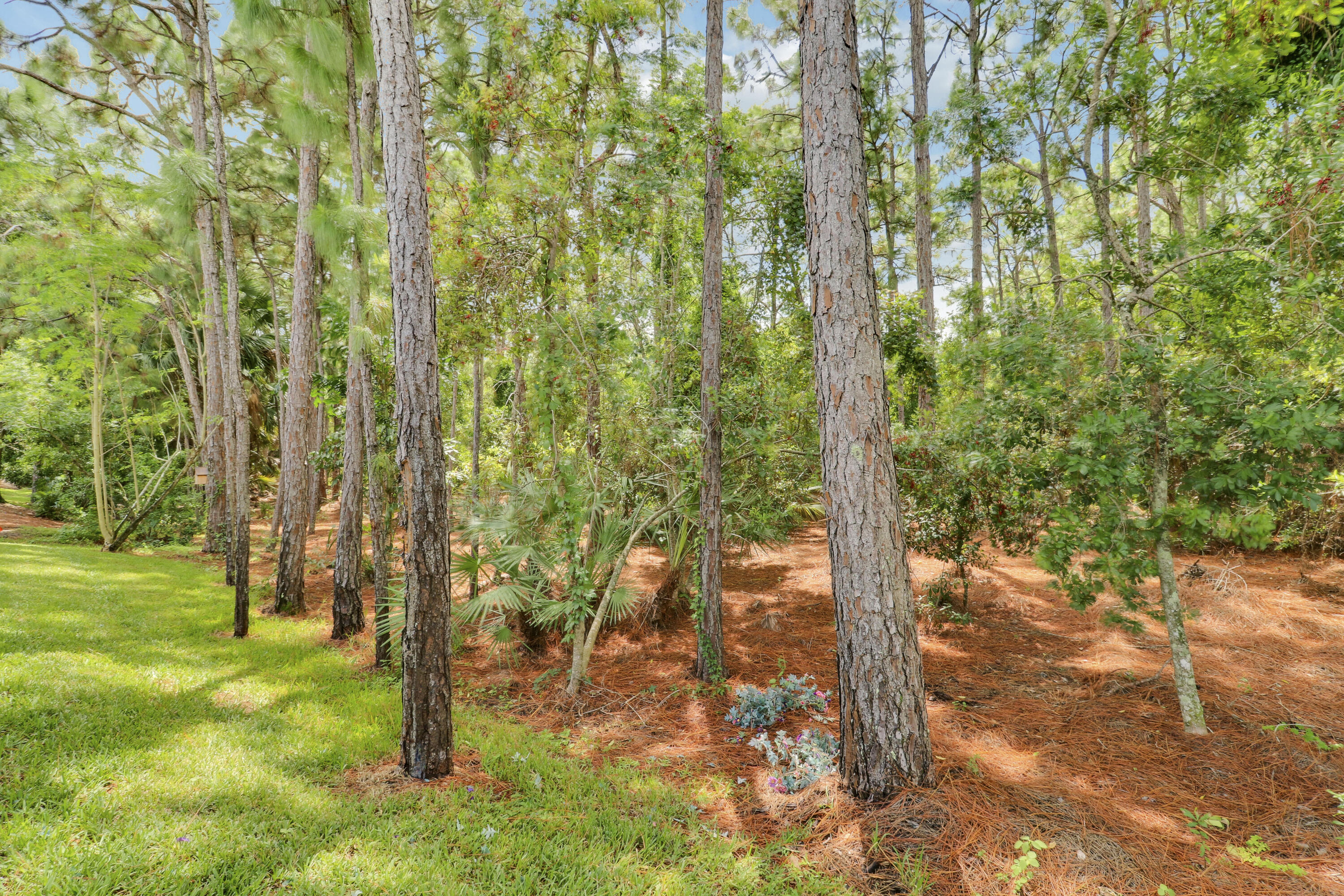 MLS #RX-10810440 image #44