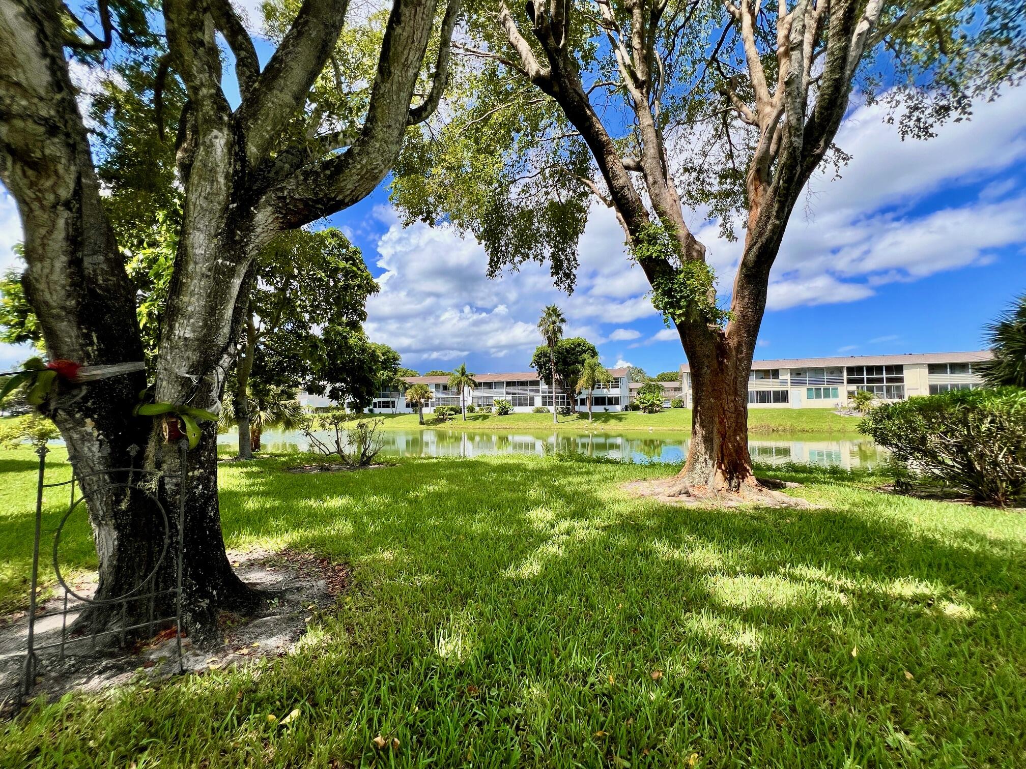 MLS #RX-11123727 image #6