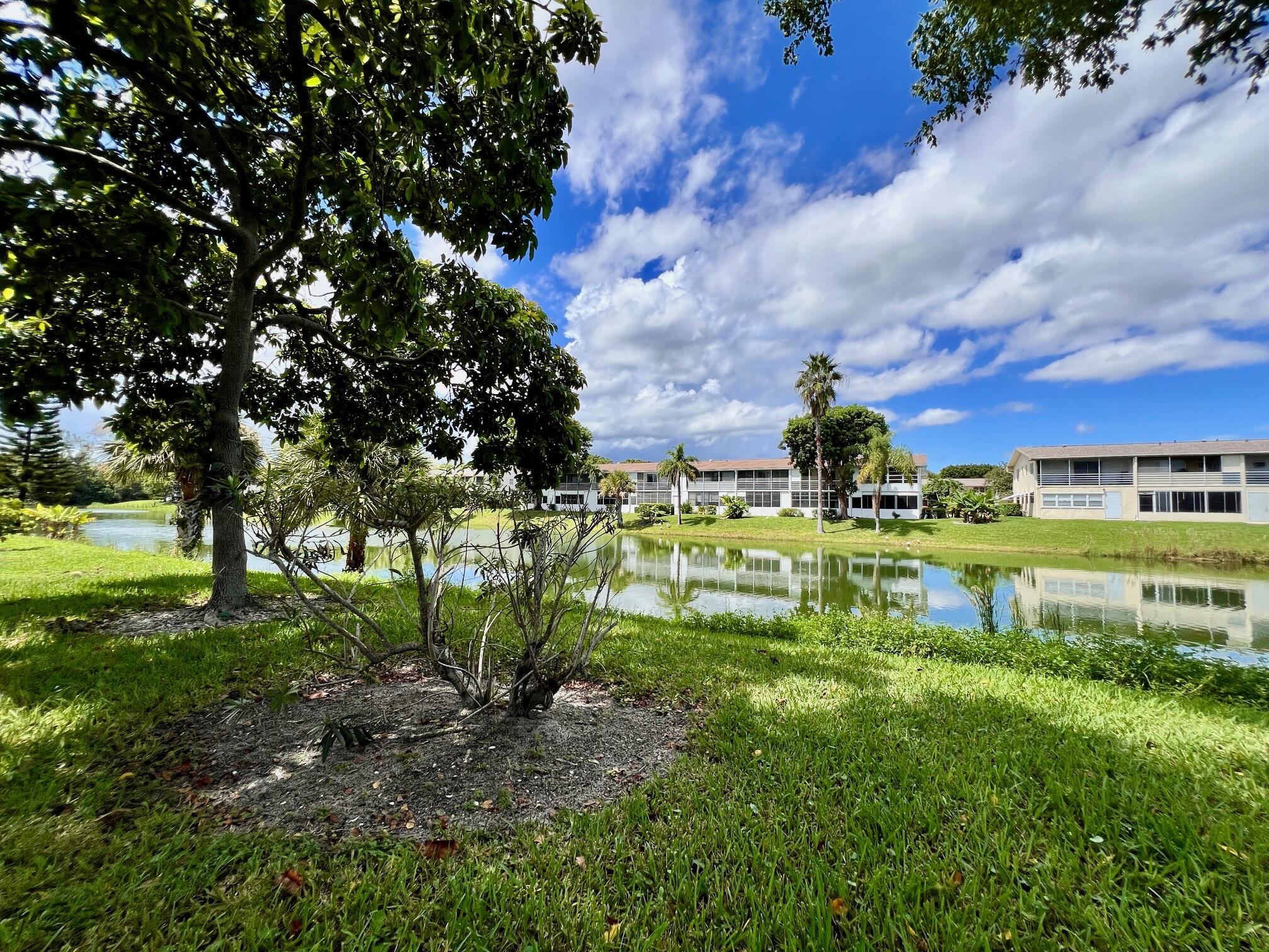 MLS #RX-11123727 image #7