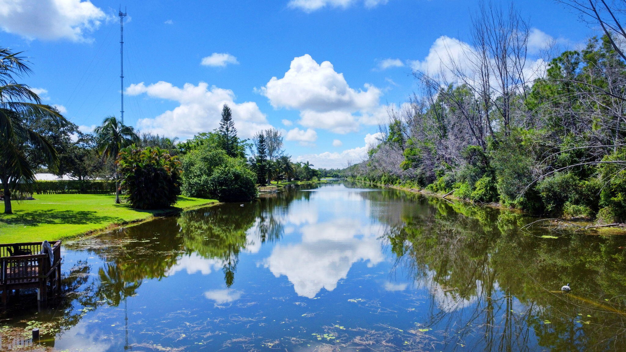 MLS #RX-11124327 image #56