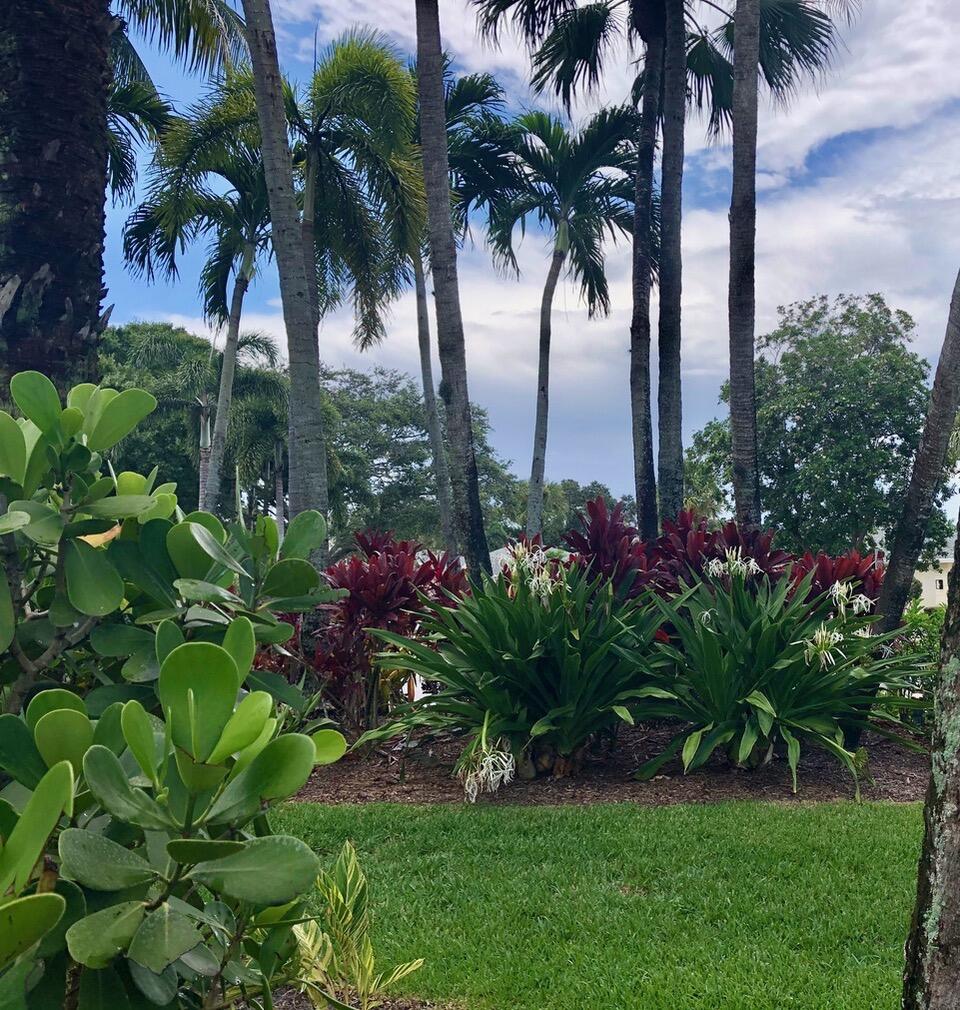 MLS #RX-11124340 image #33